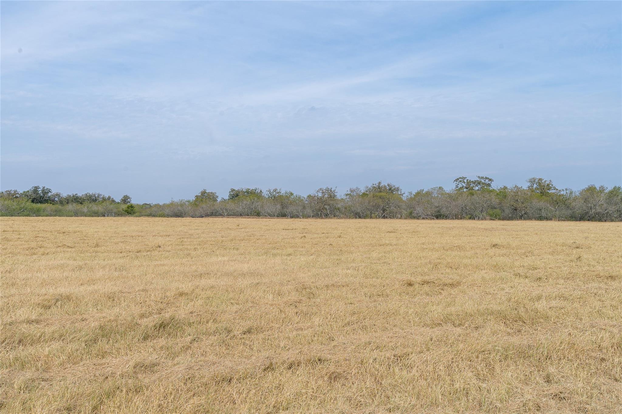 956 Johnson Farms Rd, Harwood, TX 78632