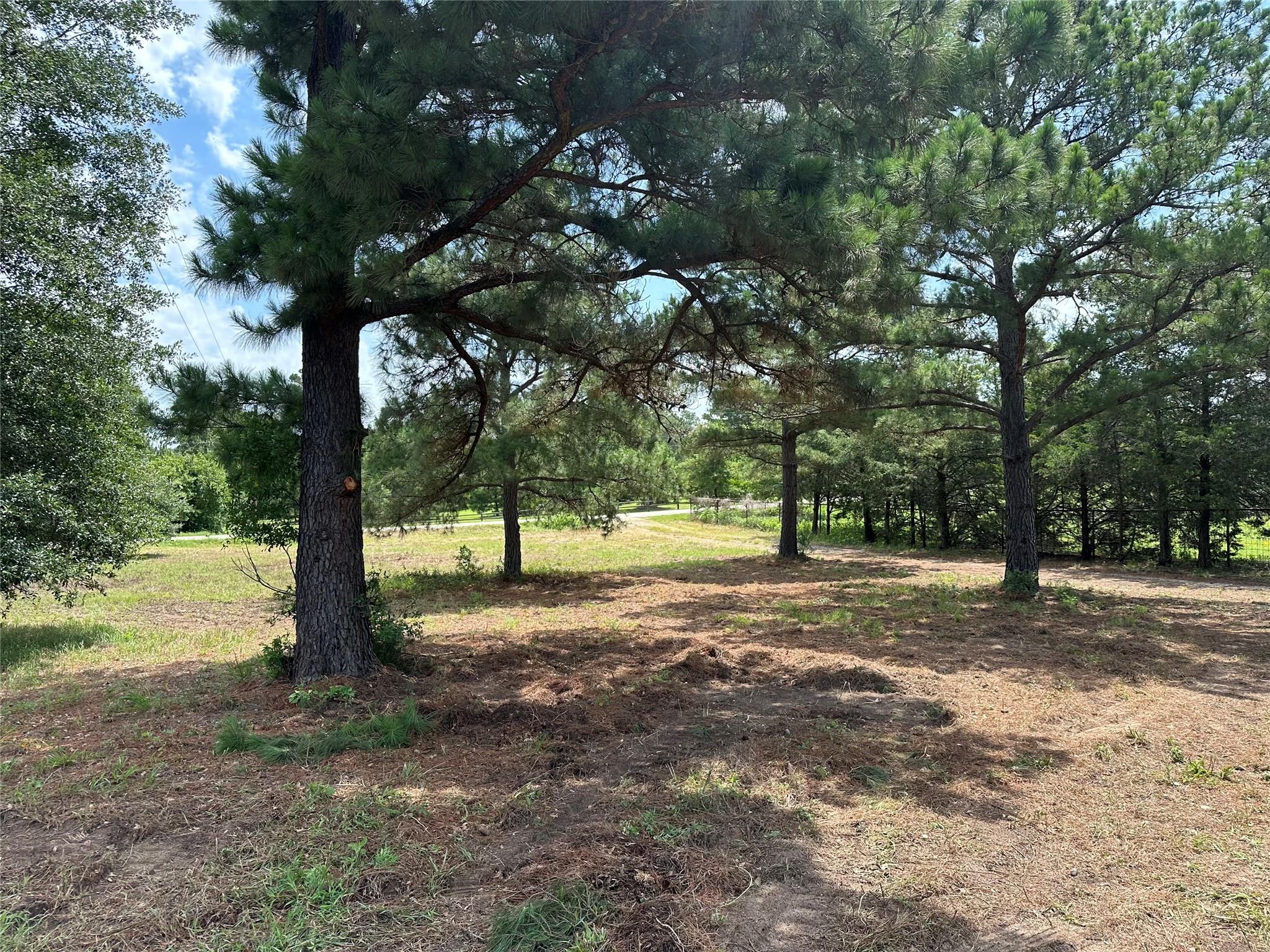 147 Pine Valley Dr, Paige, TX 78659