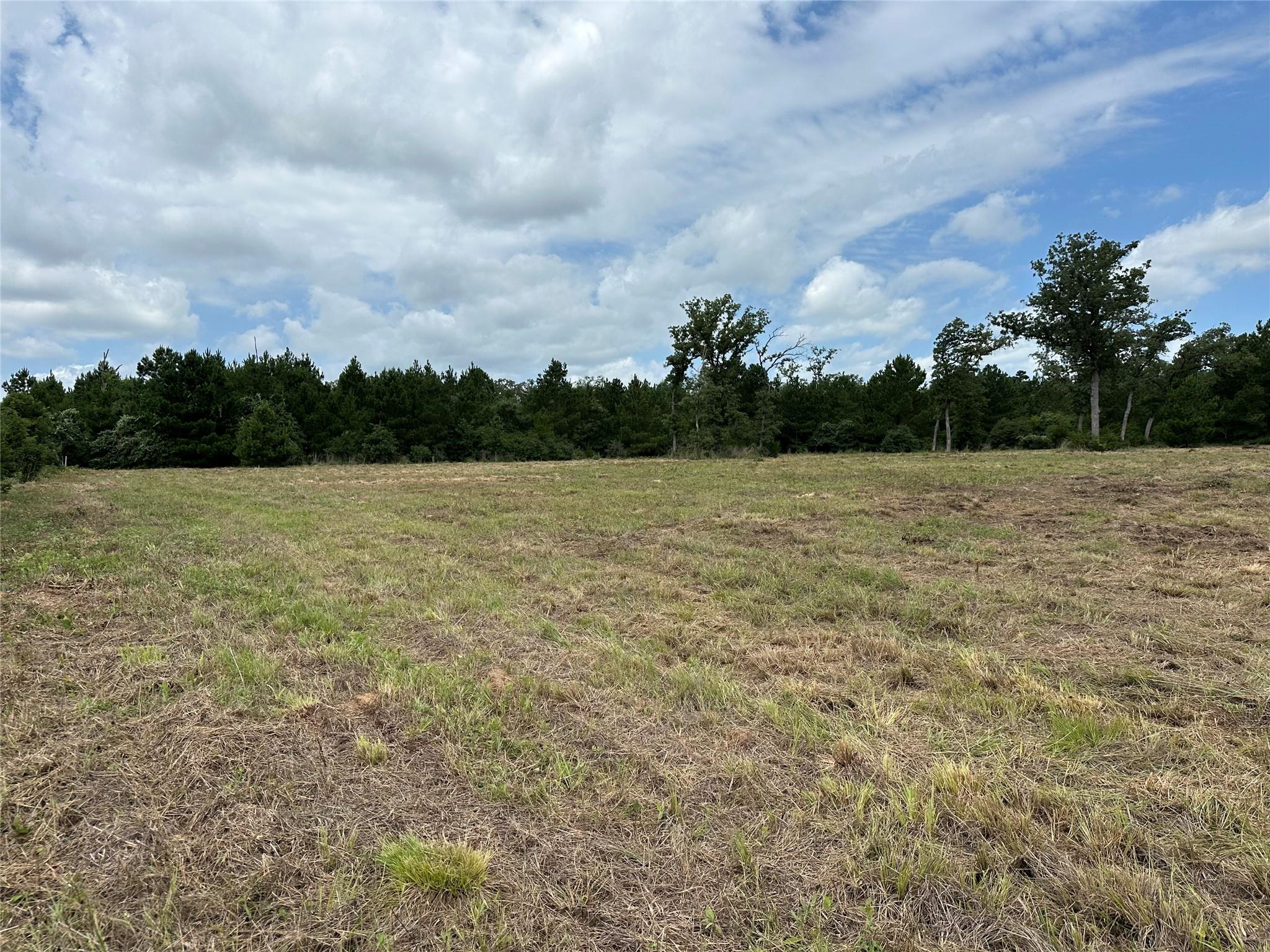 147 Pine Valley Dr, Paige, TX 78659