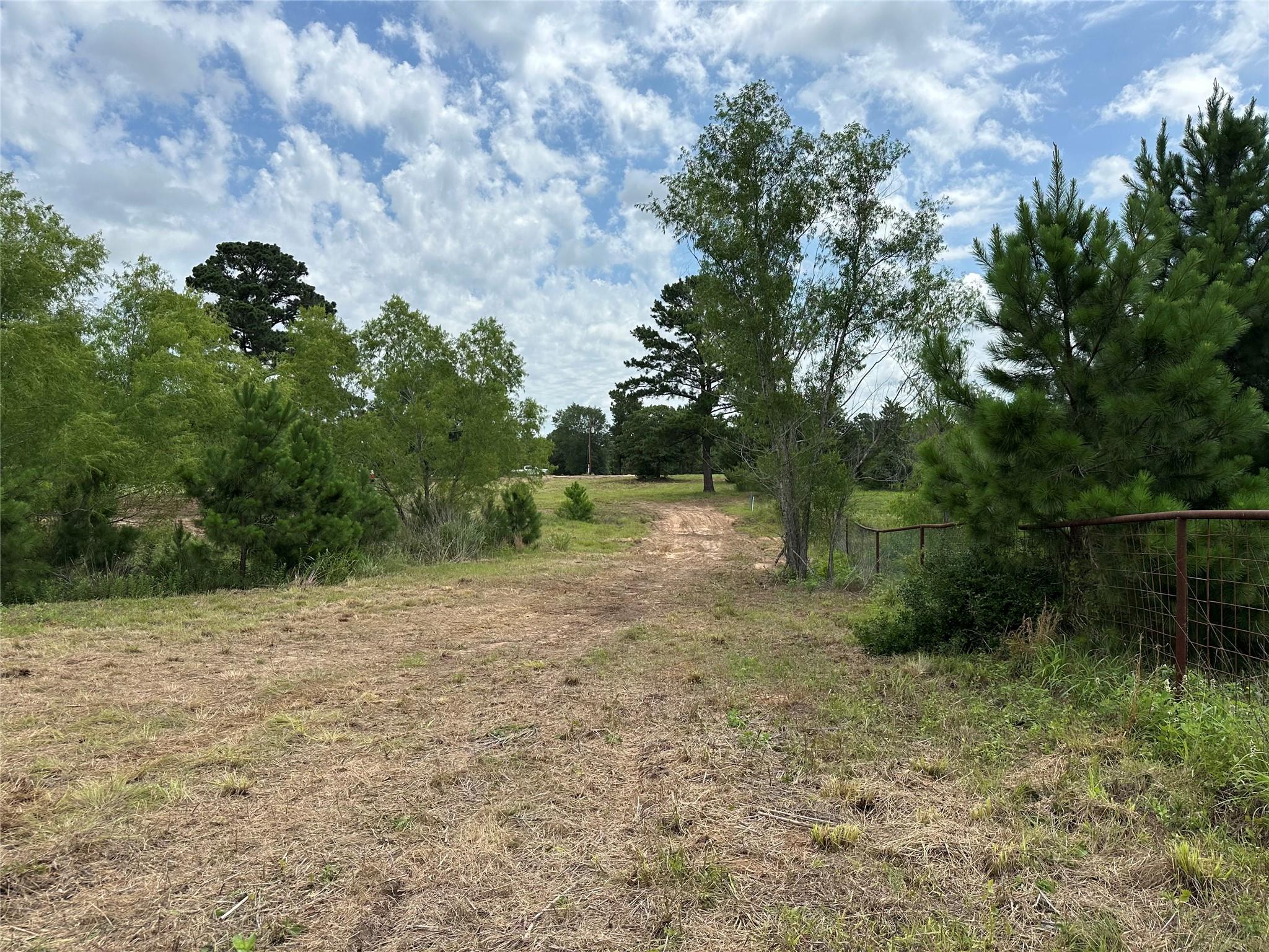 147 Pine Valley Dr, Paige, TX 78659