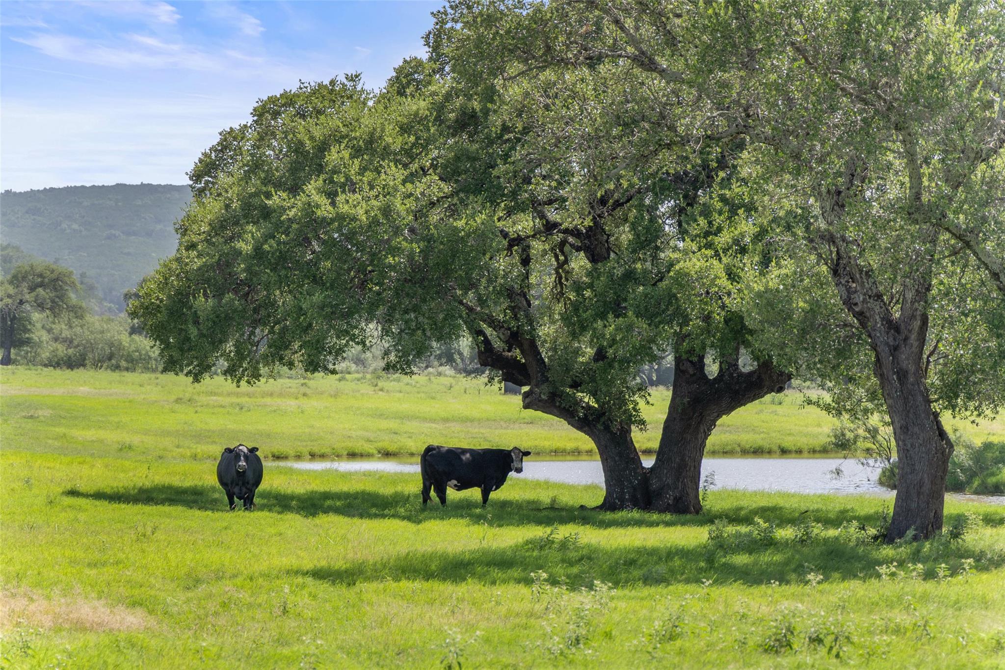 4529 Ranch Road 3347, Round Mountain, TX 78663