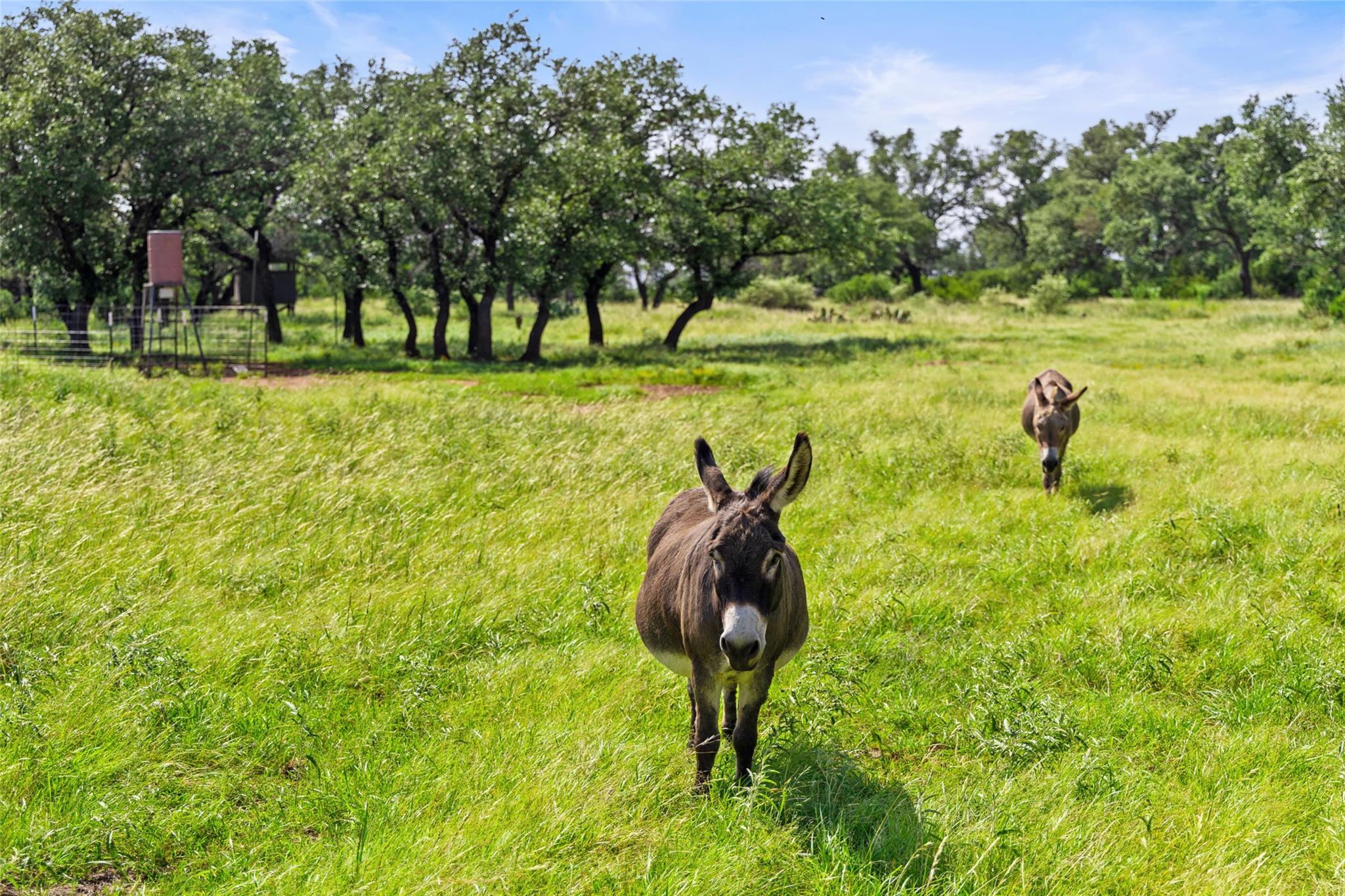 4529 Ranch Road 3347, Round Mountain, TX 78663