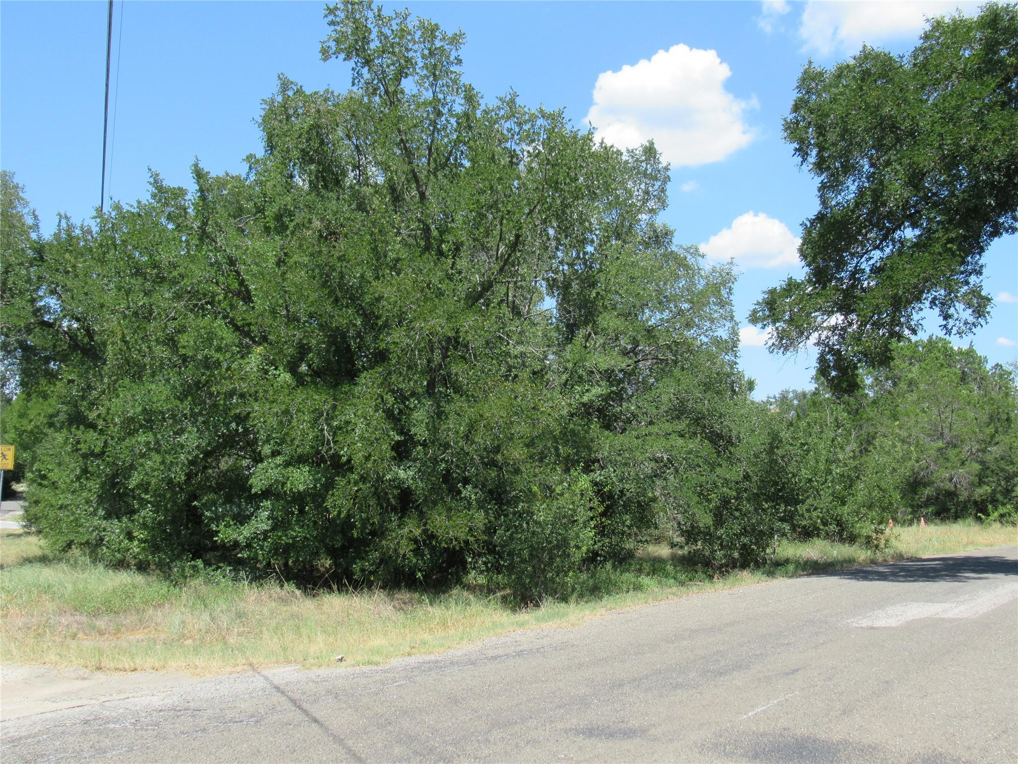 18406 Austin Dr, Jonestown, TX 78645