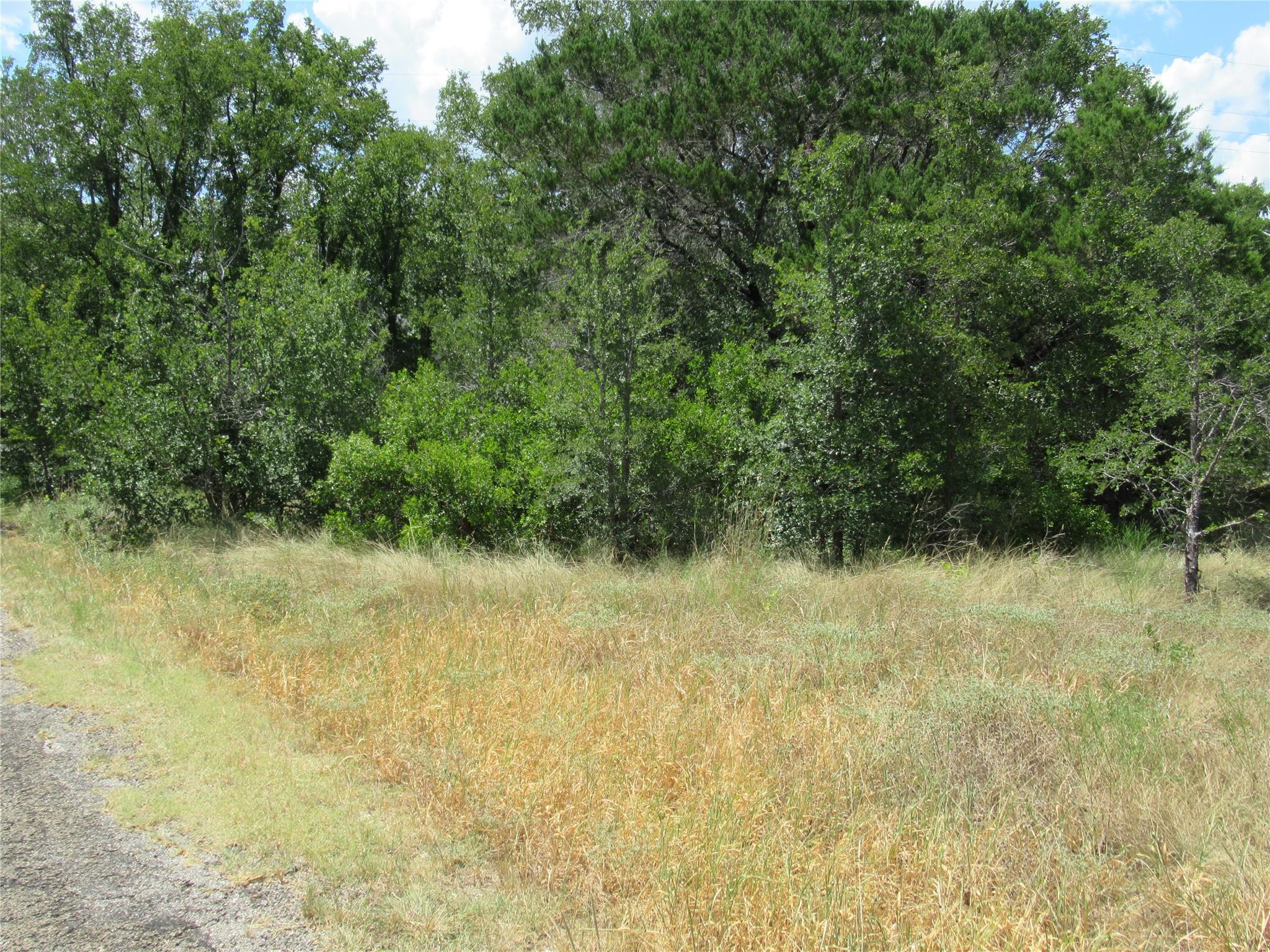 18406 Austin Dr, Jonestown, TX 78645