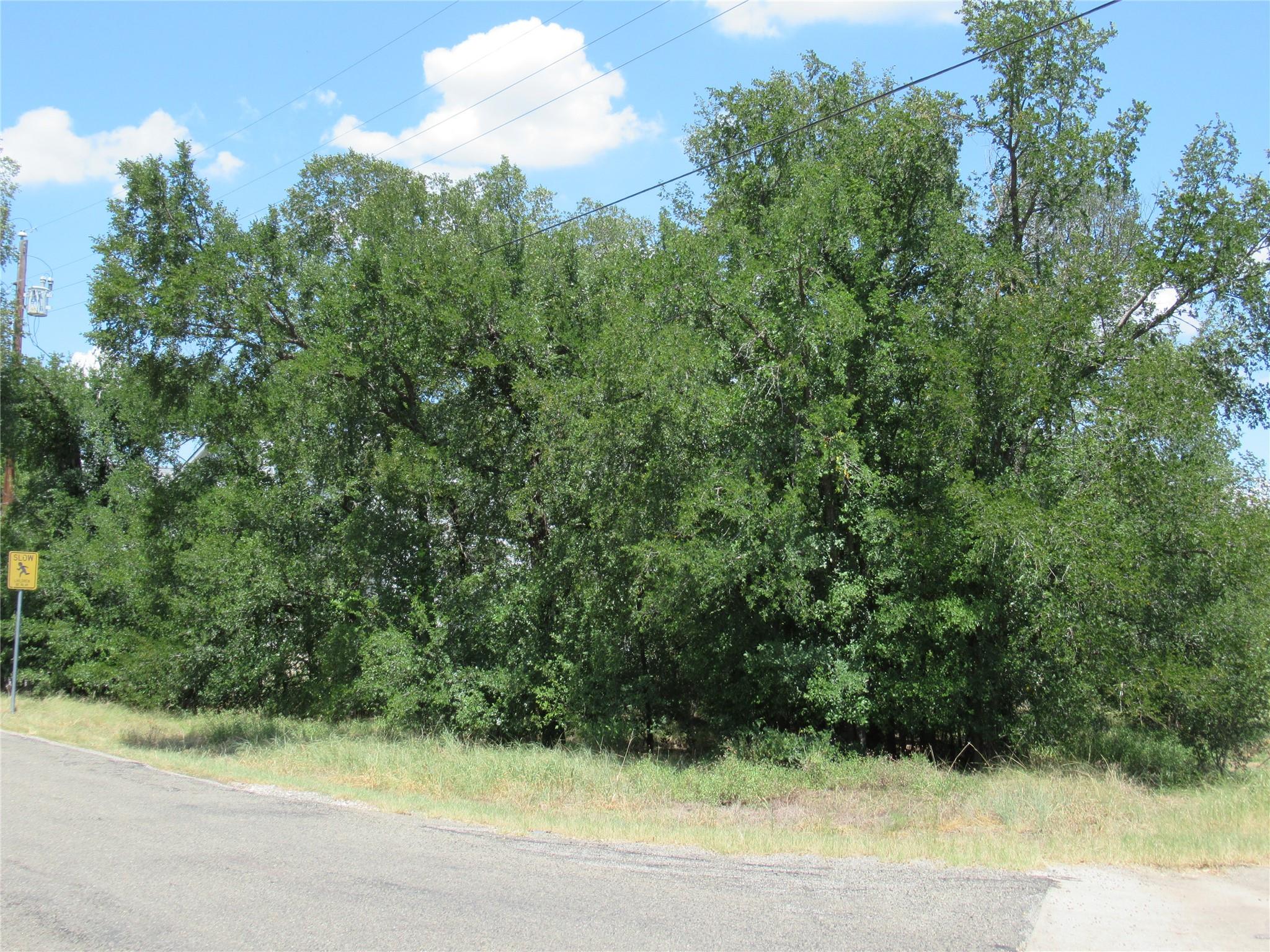 18406 Austin Dr, Jonestown, TX 78645