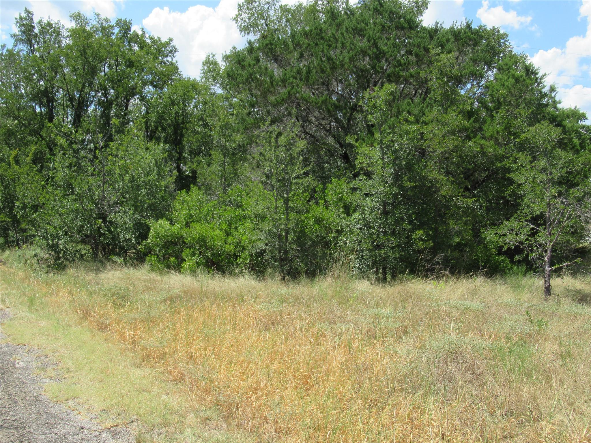 18406 Austin Dr, Jonestown, TX 78645