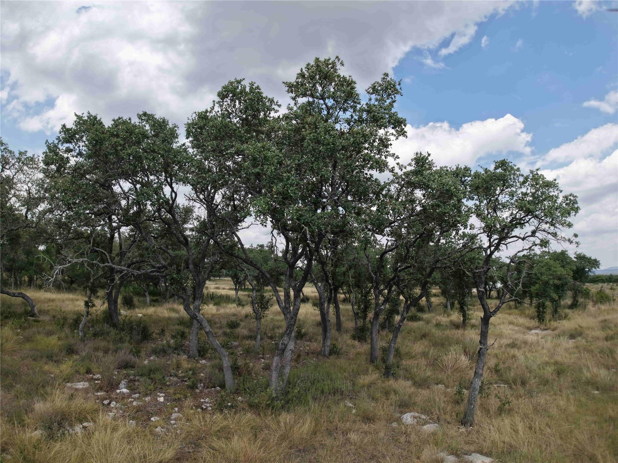 623 Whiskey Trl, Blanco, TX 78606