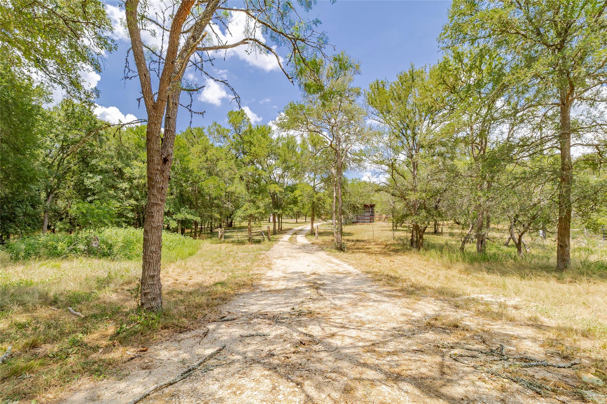 4459 Pettytown Rd, Dale, TX 78616