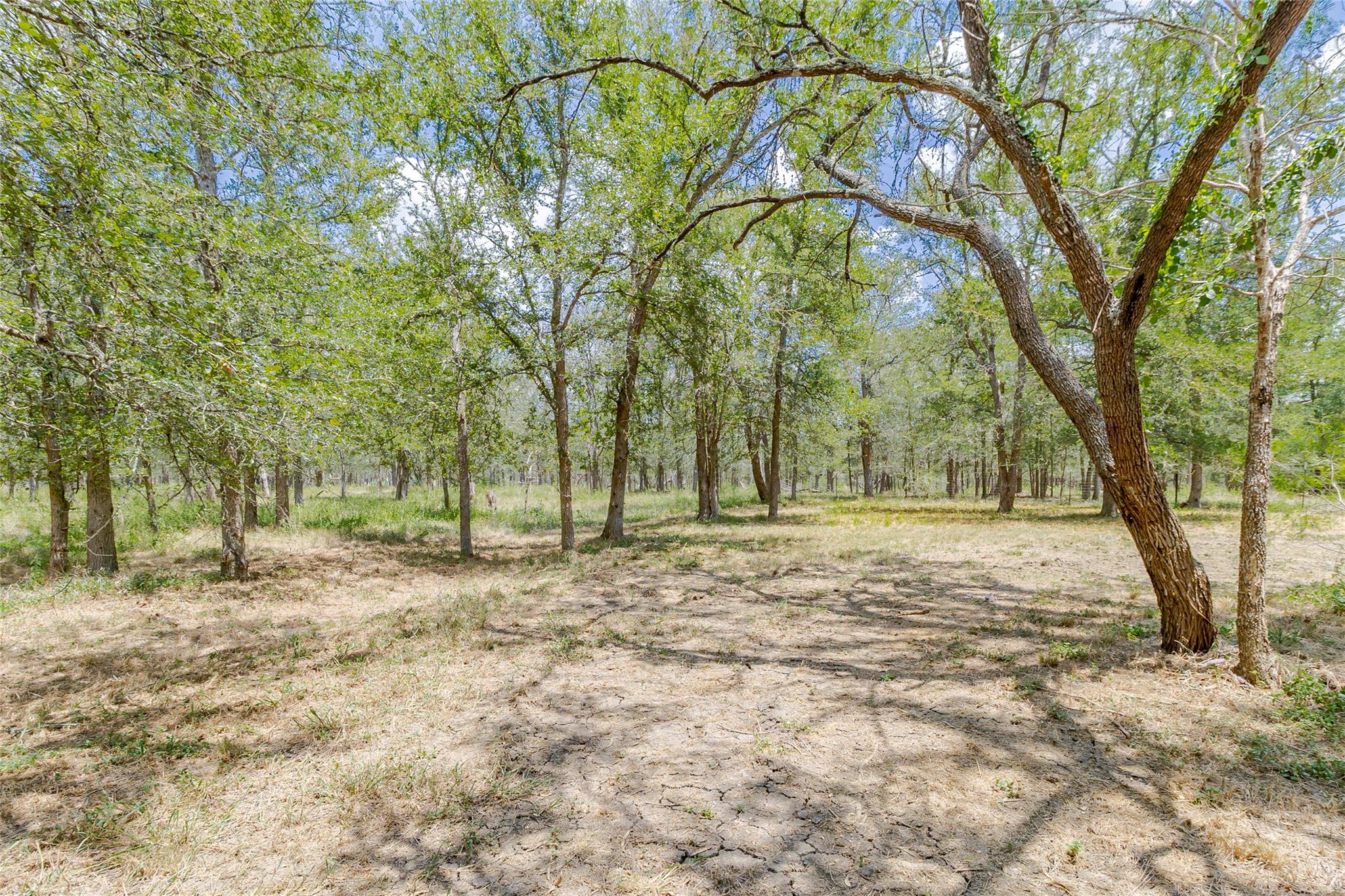 4459 Pettytown Rd, Dale, TX 78616