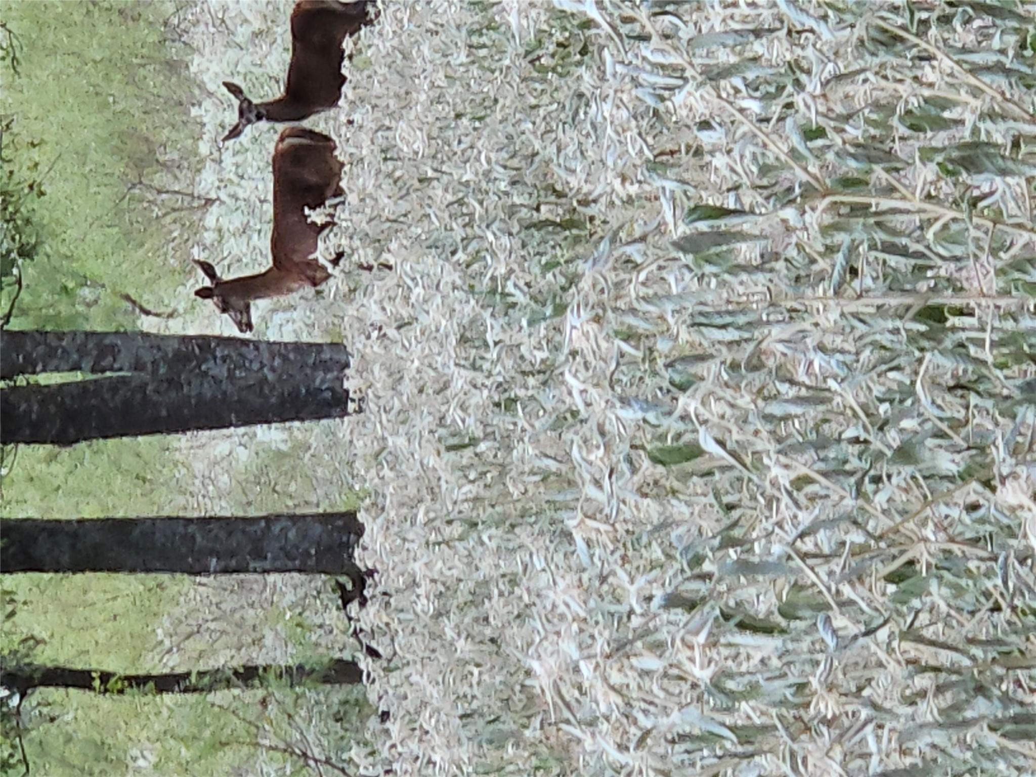 1988 CR 116 Rds, Rogers, TX 76569