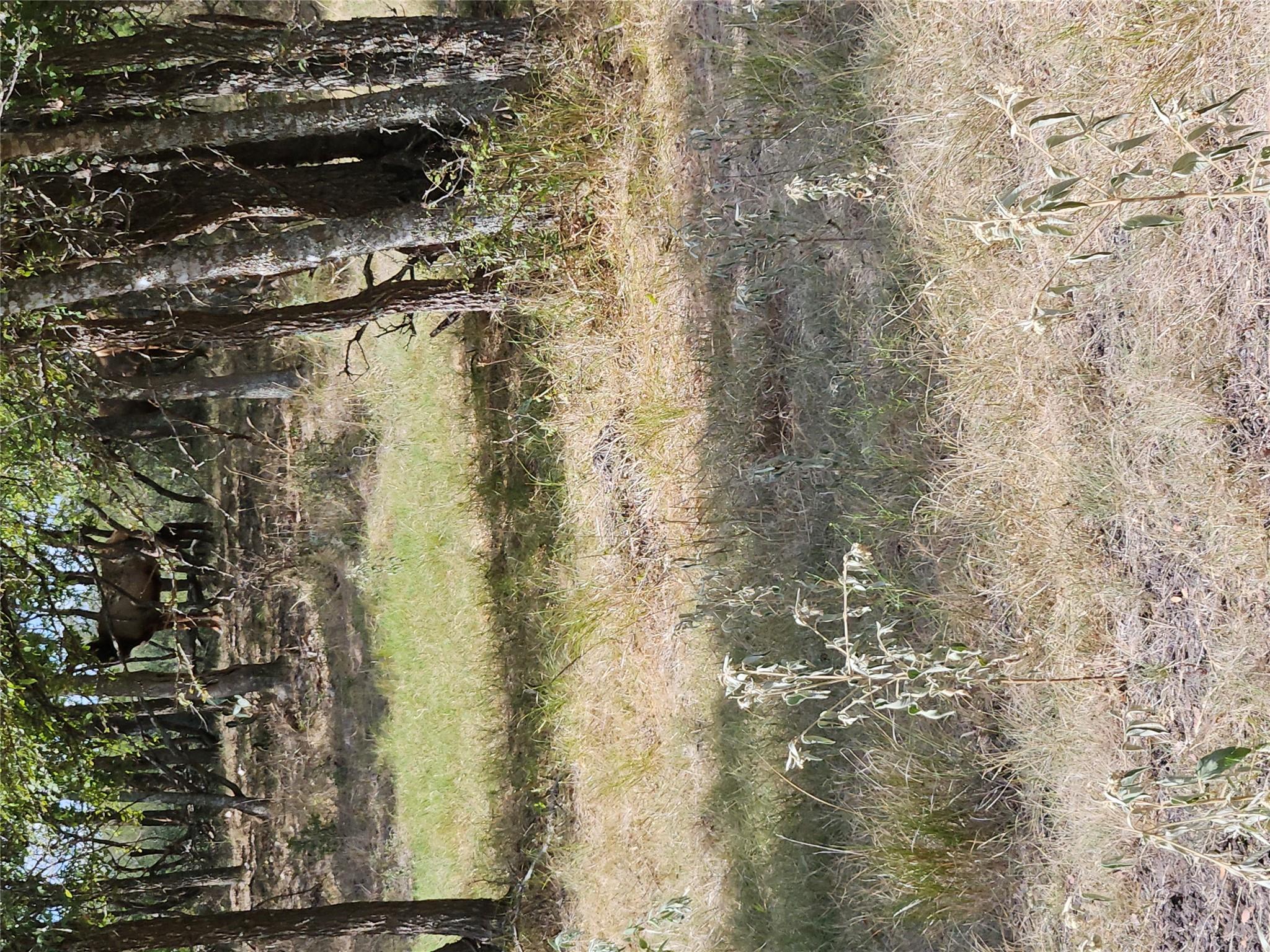 1988 CR 116 Rds, Rogers, TX 76569