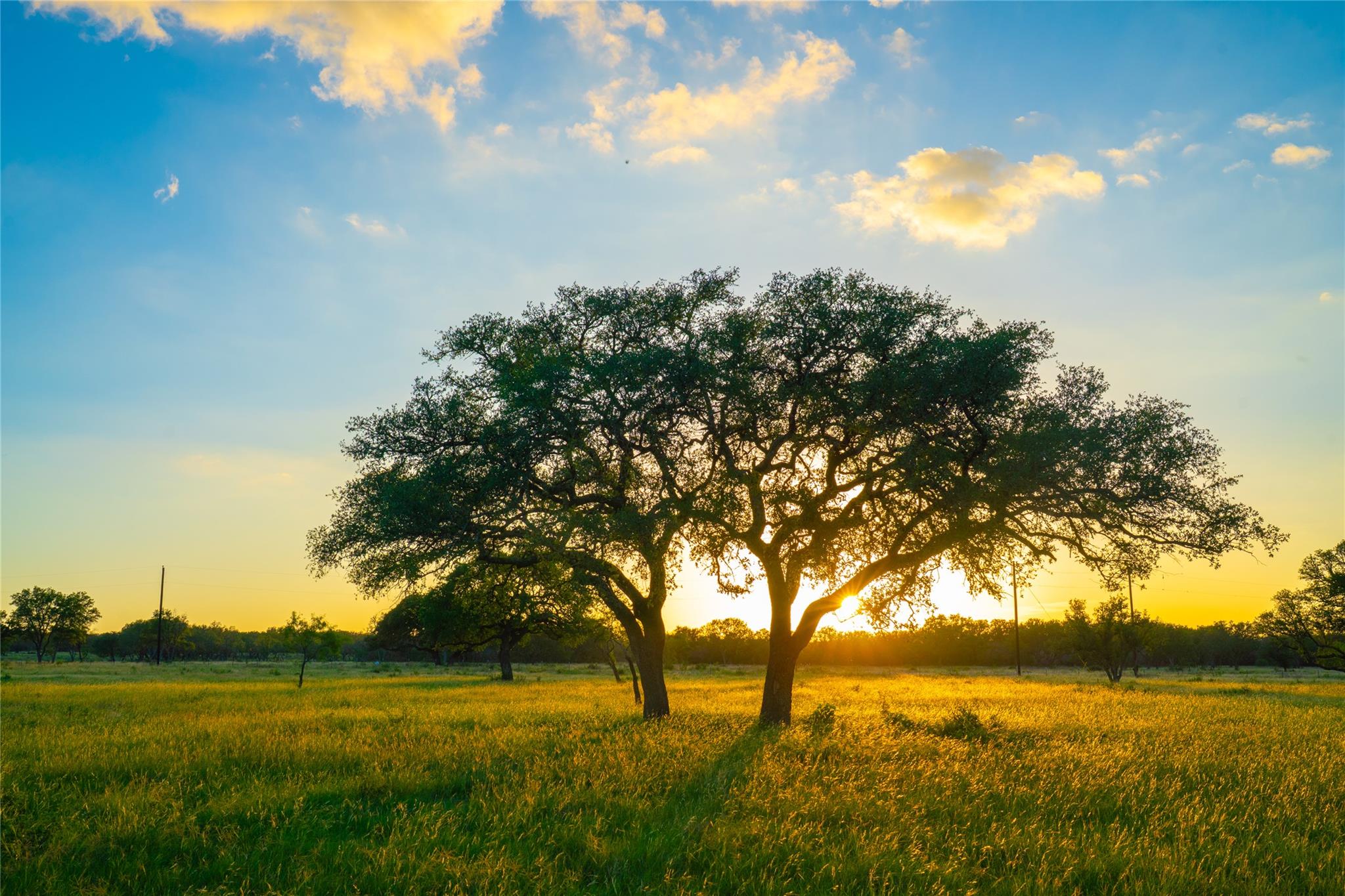 0000 Golden Hour Ranch, Johnson City, TX 78636
