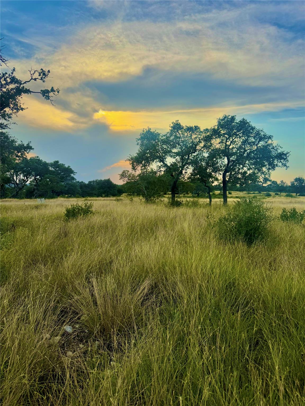 TBD Tract 11 Cattleman's CROSSING Dr, Kerrville, TX 78028