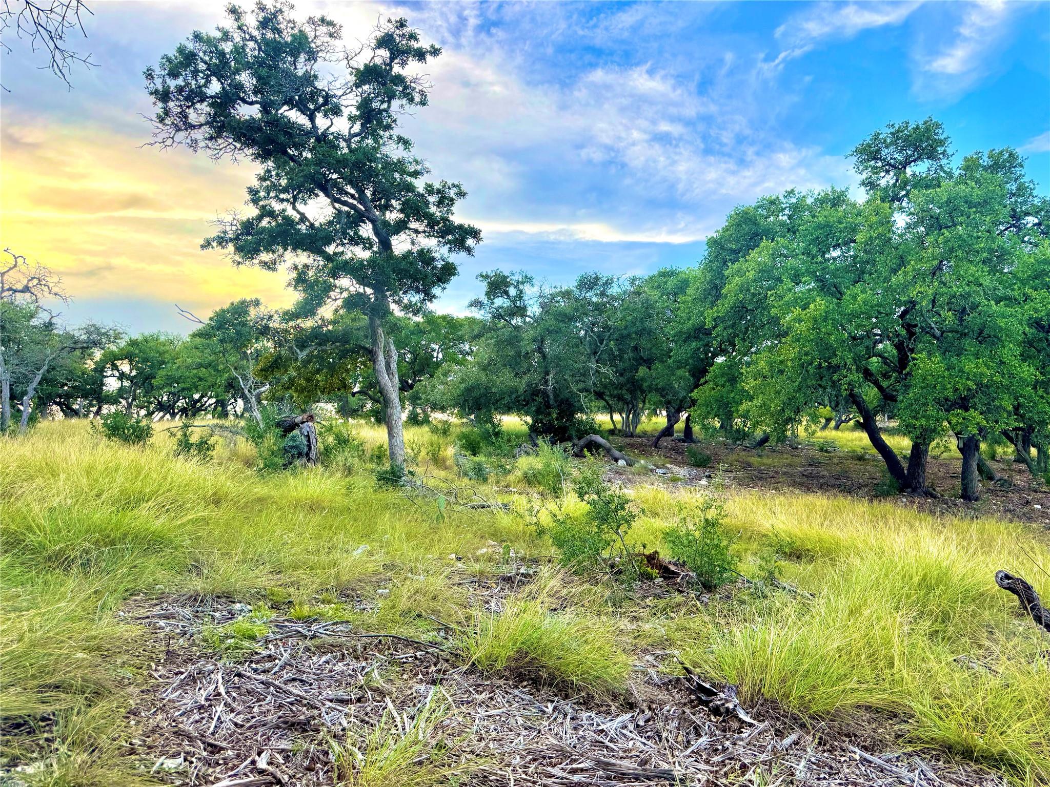 TBD Tract 11 Cattleman's CROSSING Dr, Kerrville, TX 78028