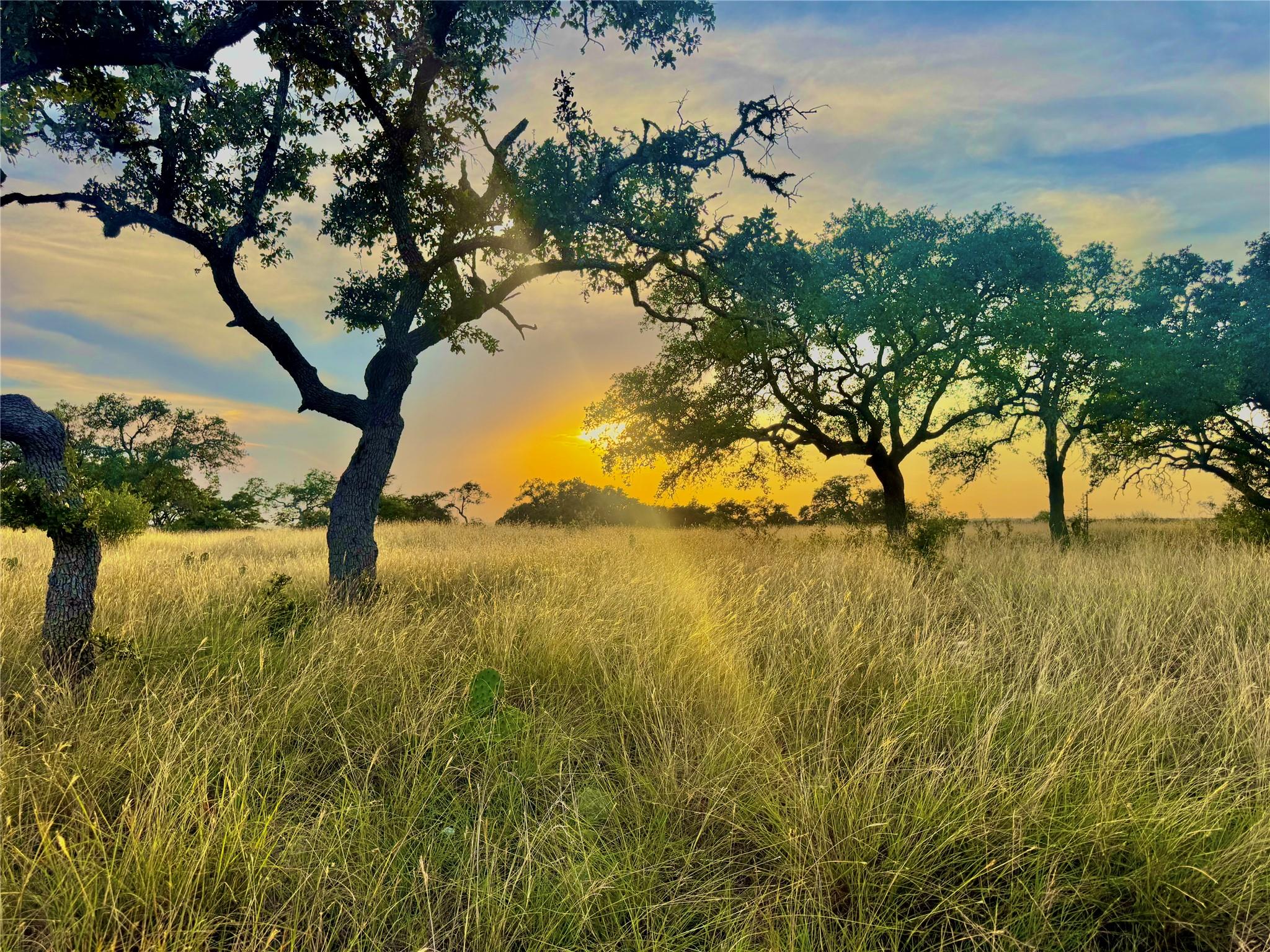 TBD Tract 11 Cattleman's CROSSING Dr, Kerrville, TX 78028