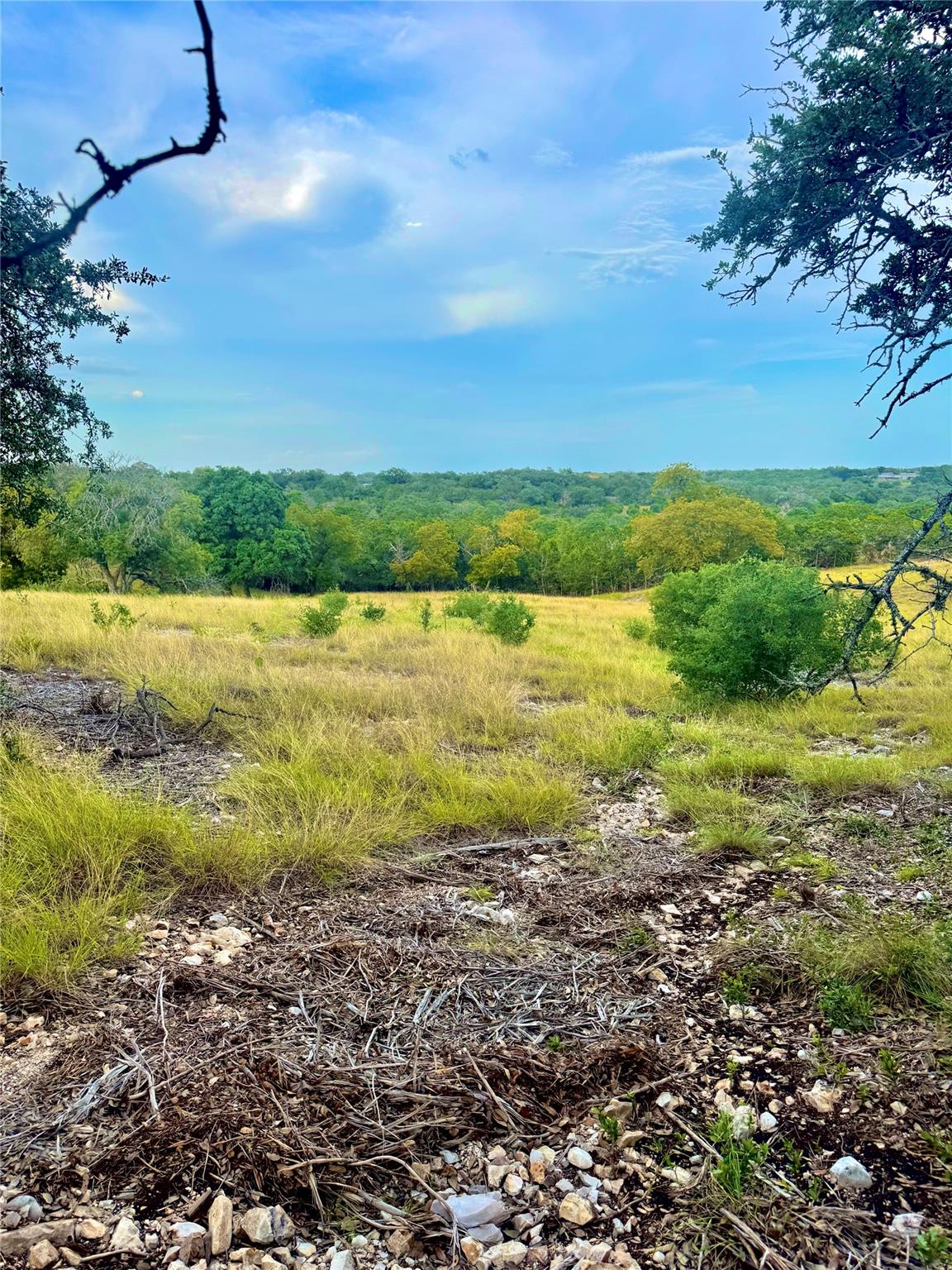 TBD Tract 11 Cattleman's CROSSING Dr, Kerrville, TX 78028