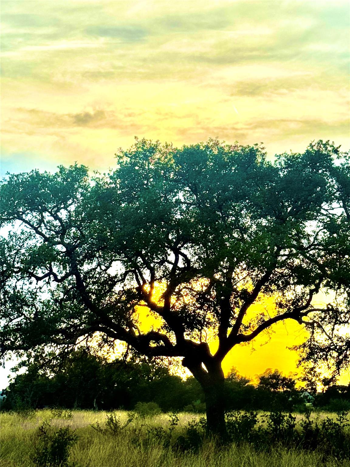 TBD Tract 11 Cattleman's CROSSING Dr, Kerrville, TX 78028