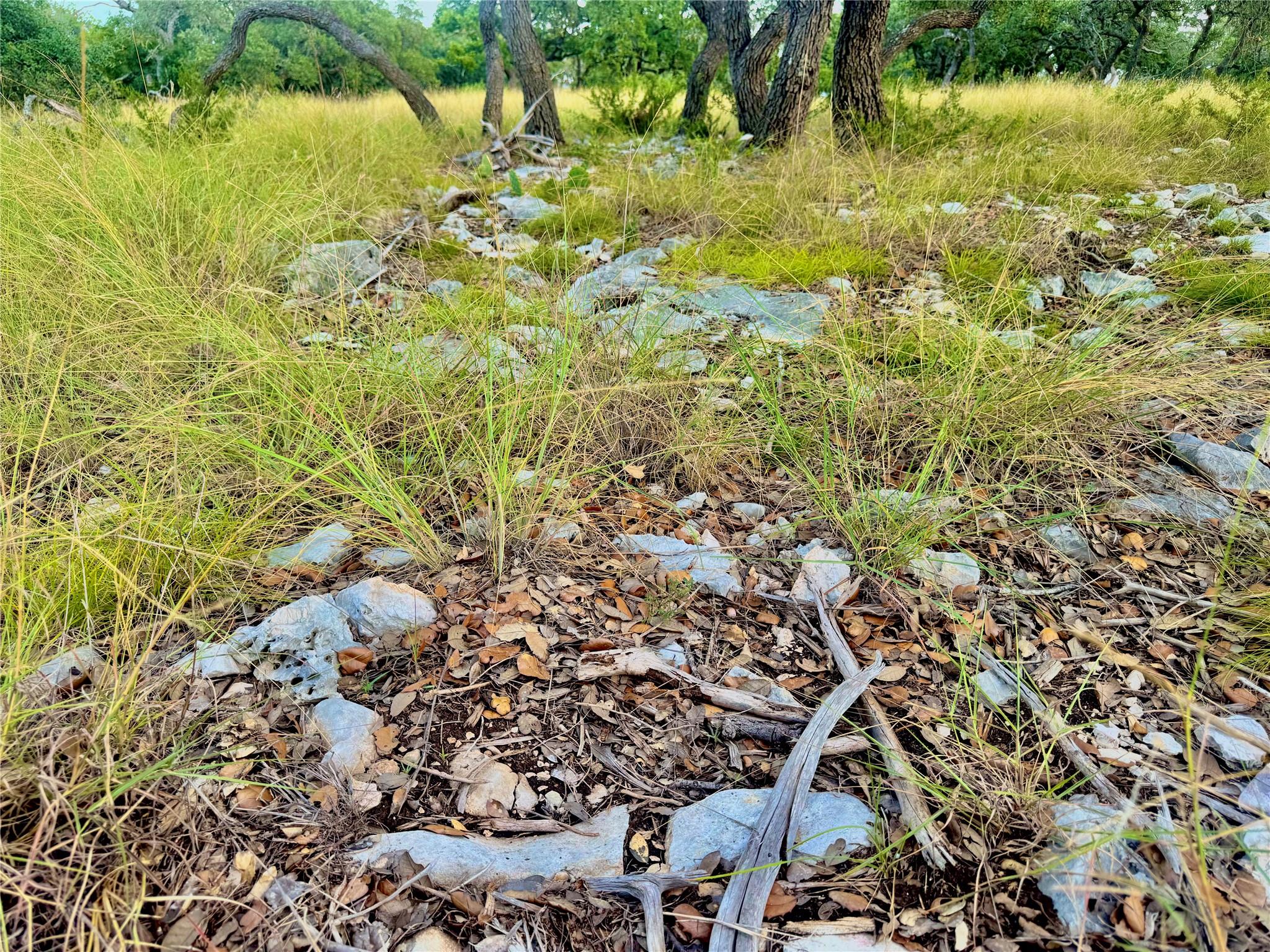 TBD Tract 11 Cattleman's CROSSING Dr, Kerrville, TX 78028