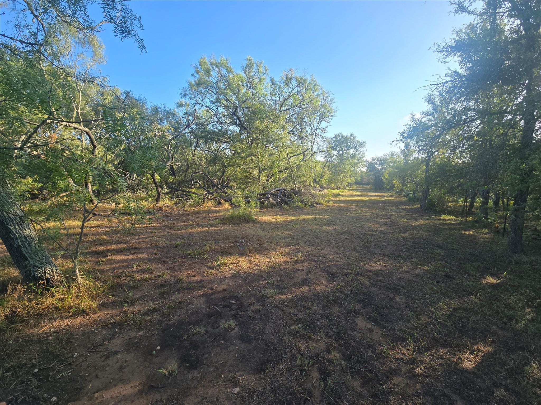 TBD SNEED Ln, Dale, TX 78616