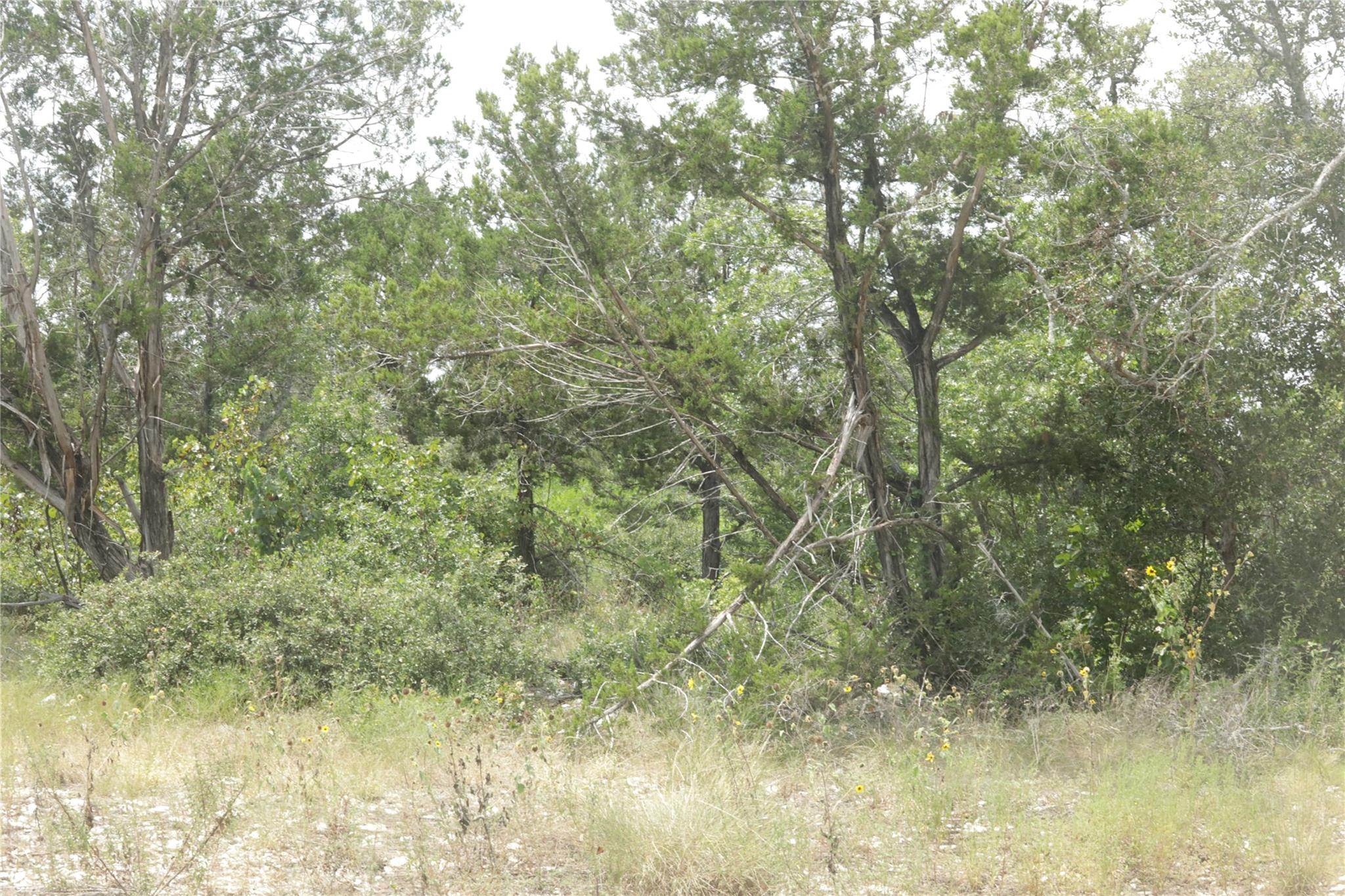Lot 32 Sawtooth Dr, Bertram, TX 78605