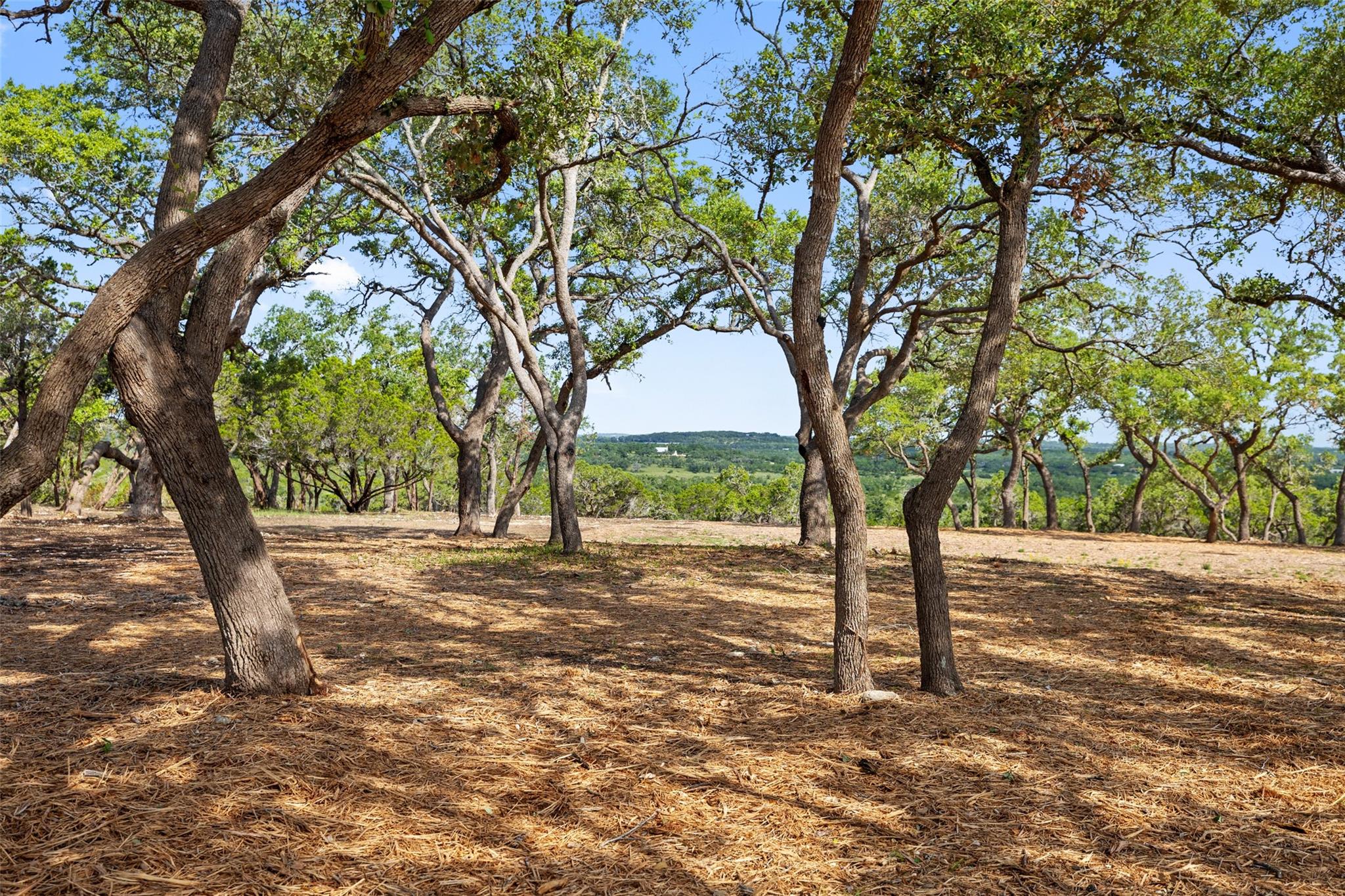 9475 FM 32, Lot 9, Fischer, TX 78623