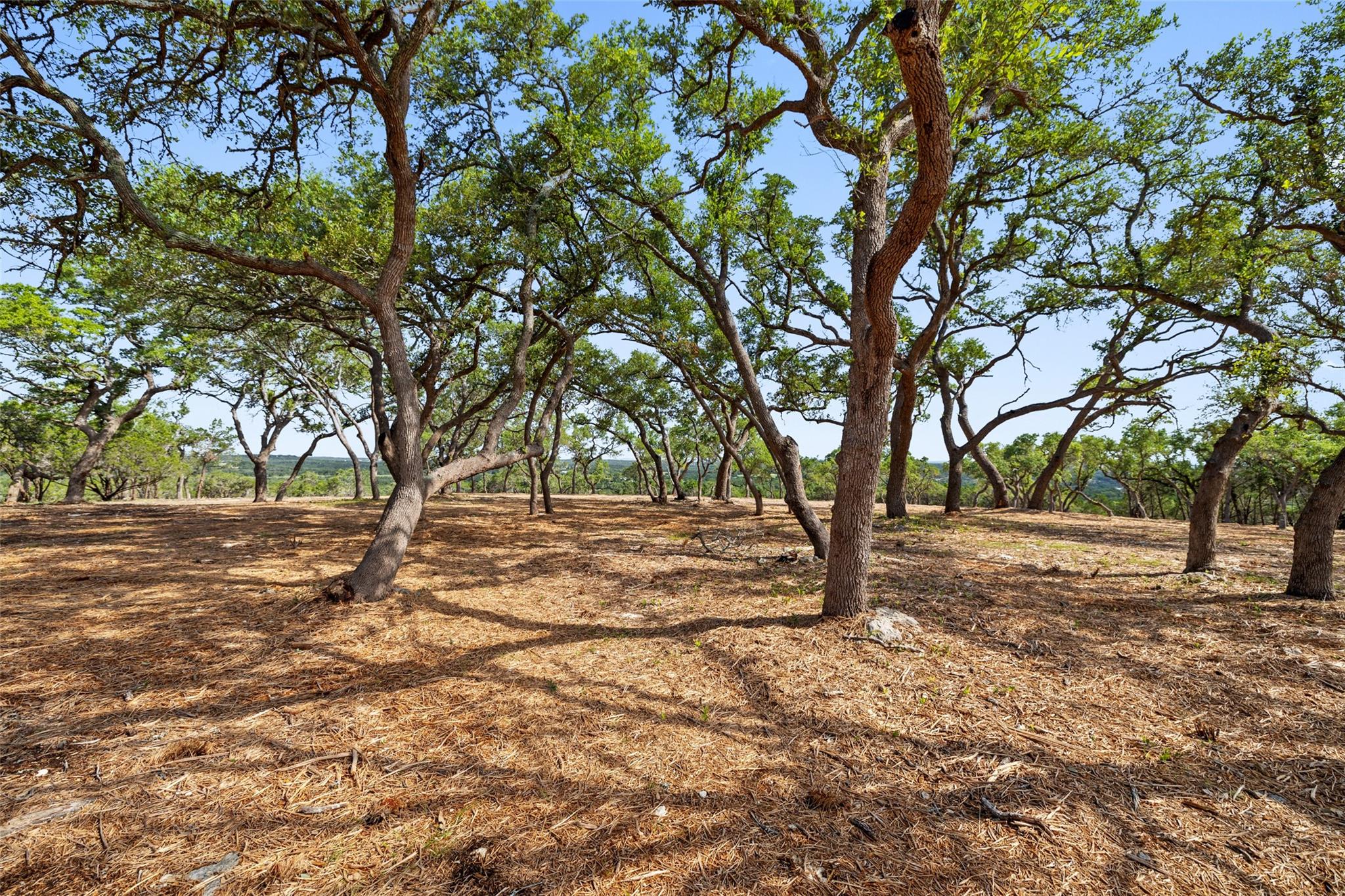 9475 FM 32, Lot 9, Fischer, TX 78623