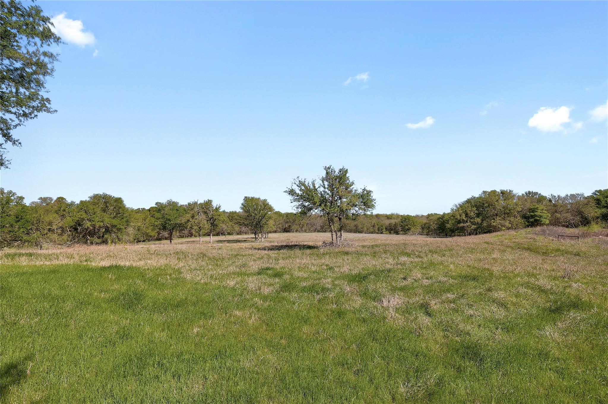 235 Mesquite Dr, Cedar Creek, TX 78612