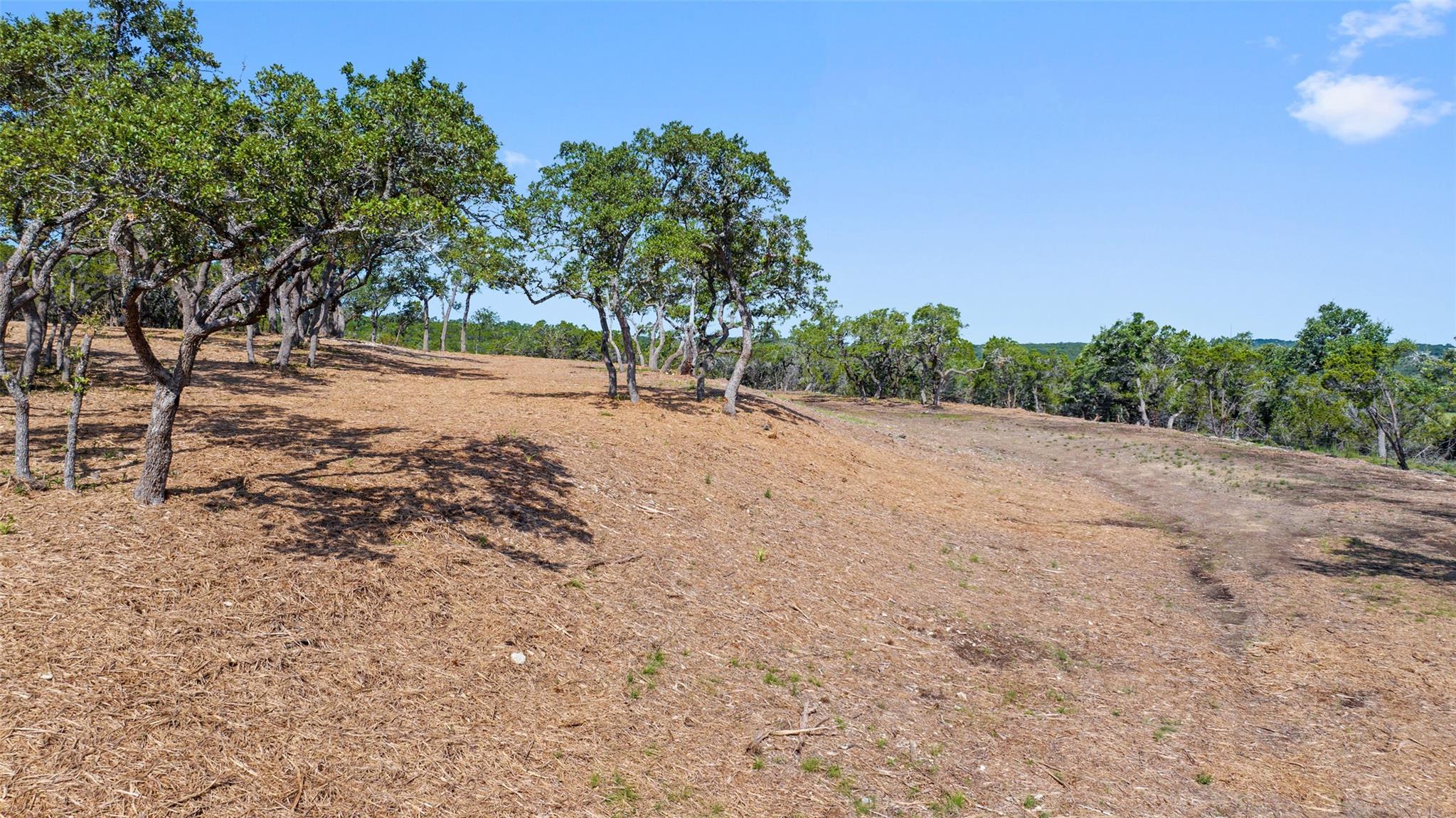 9475 FM 32, Lot 1, Fischer, TX 78623