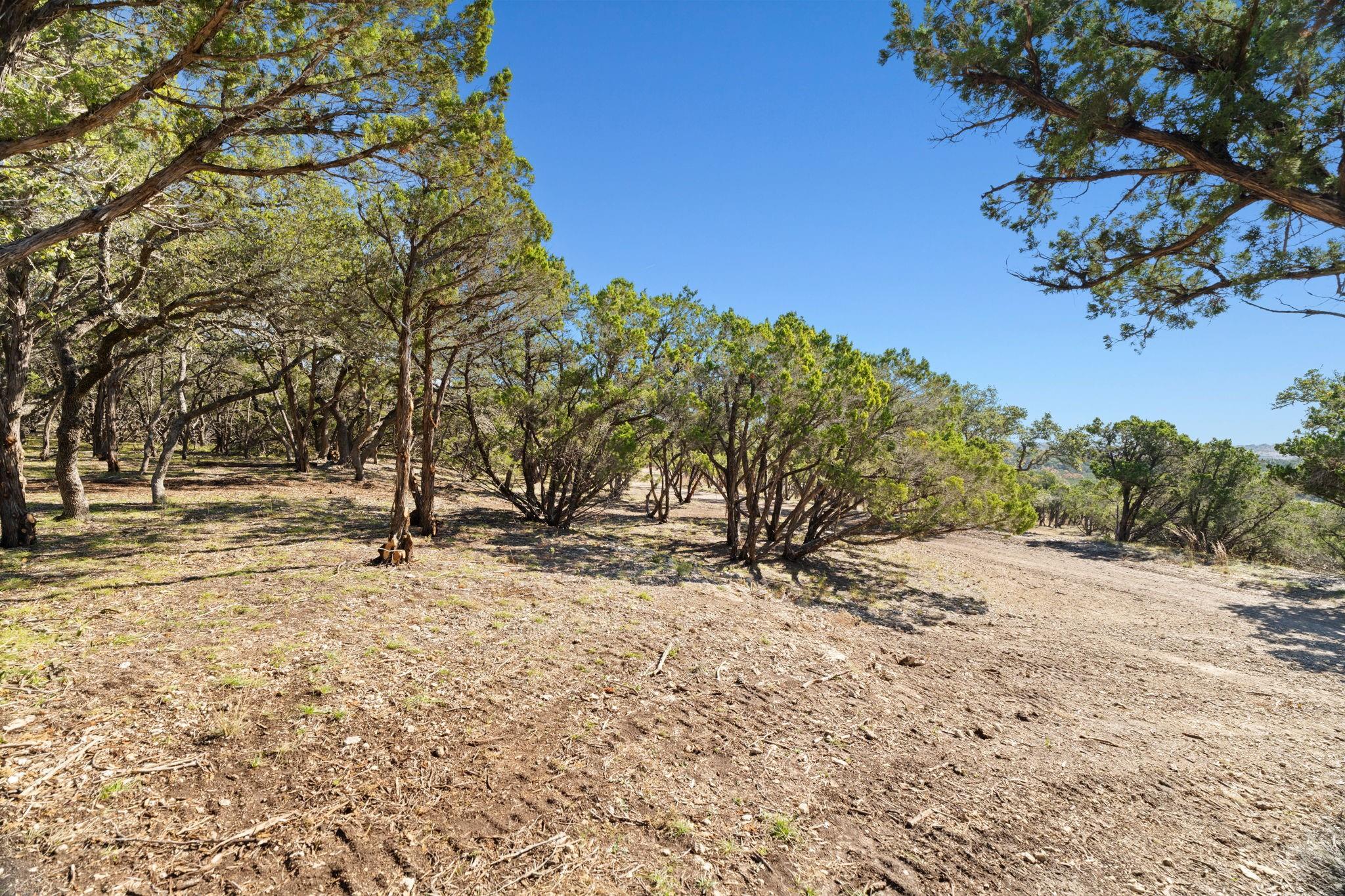 3300 FM 165 - Lot 9, Dripping Springs, TX 78620