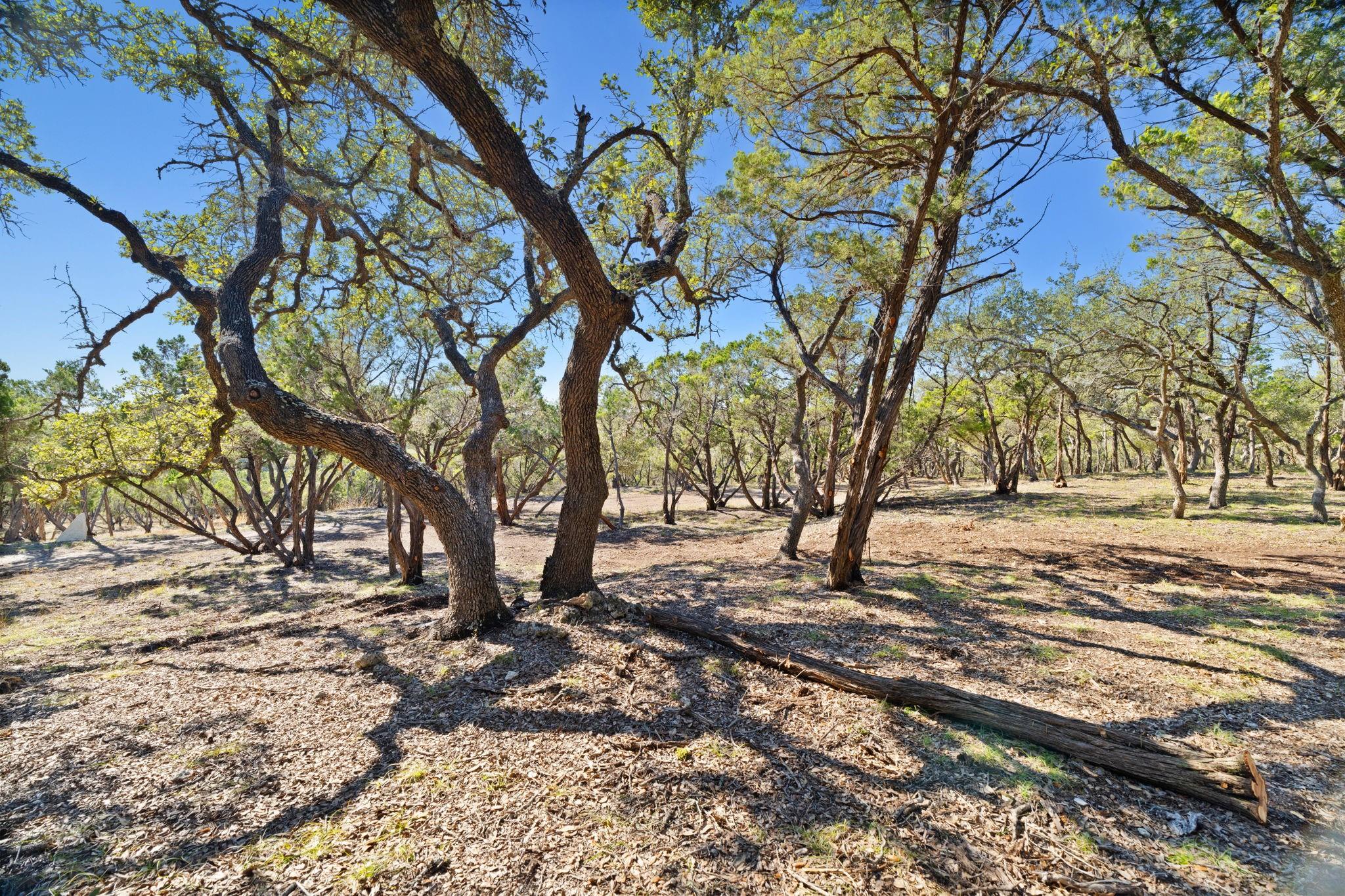3300 FM 165 - Lot 13A, Dripping Springs, TX 78620
