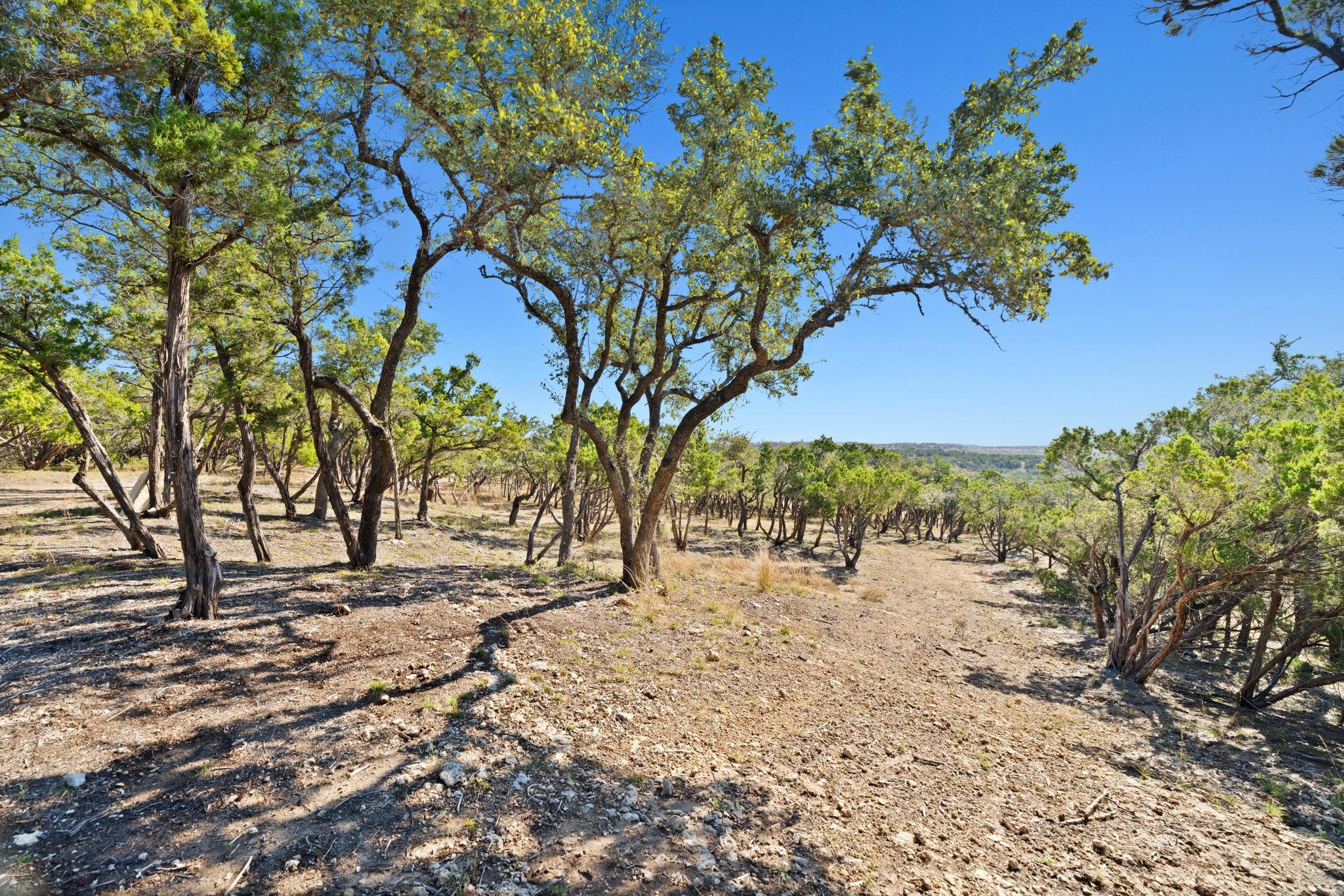 3300 FM 165 - Lot 21, Dripping Springs, TX 78620