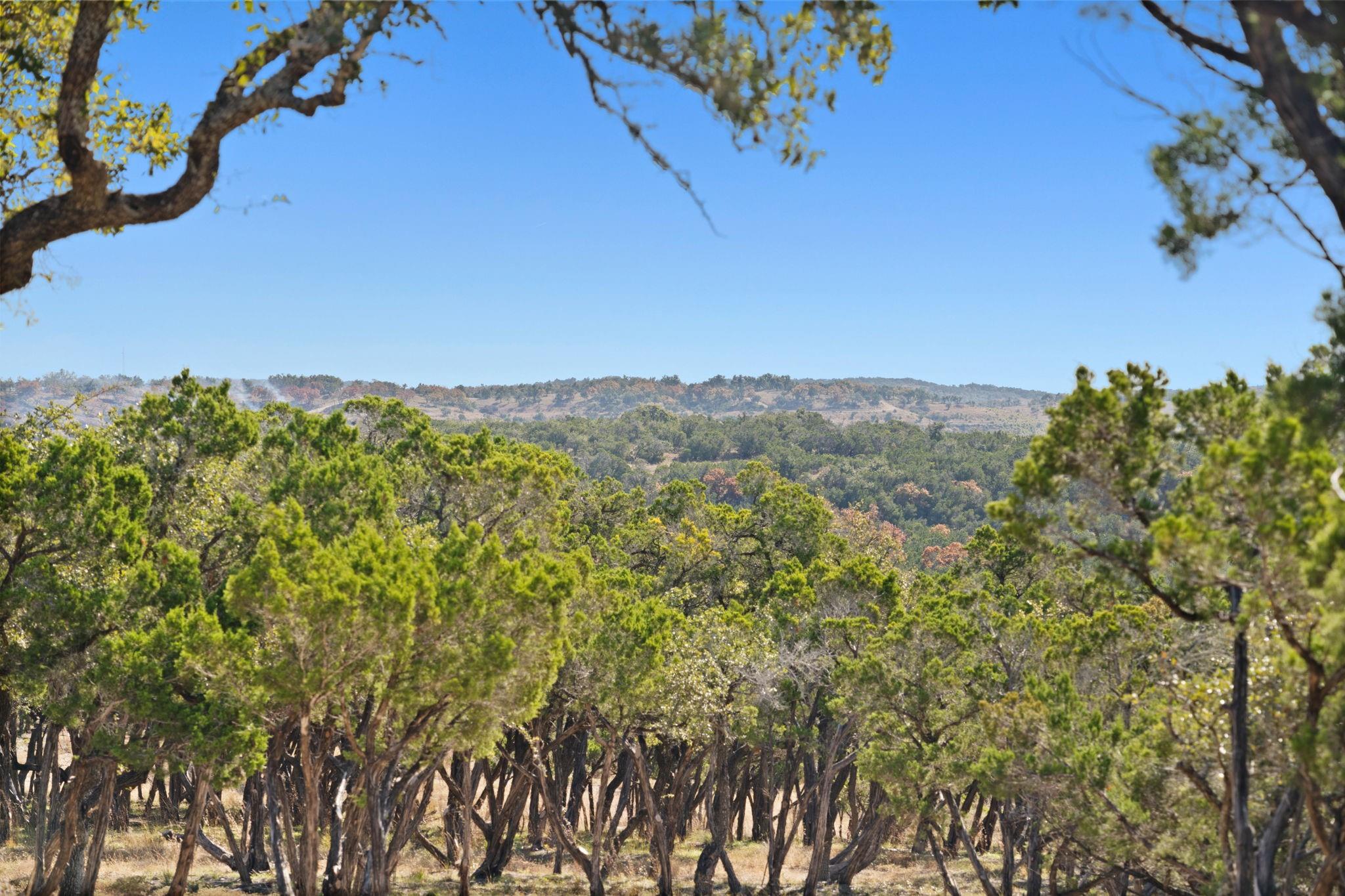3300 FM 165 - Lot 21, Dripping Springs, TX 78620