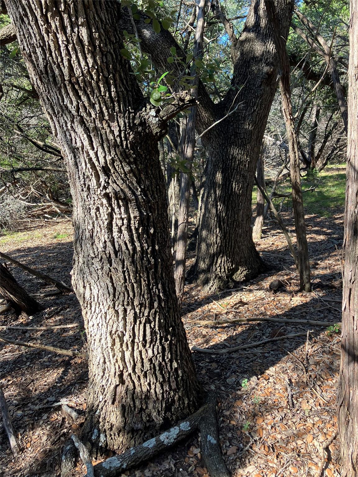 301 CR-282 LOT 1 Rd, Liberty Hill, TX 78642