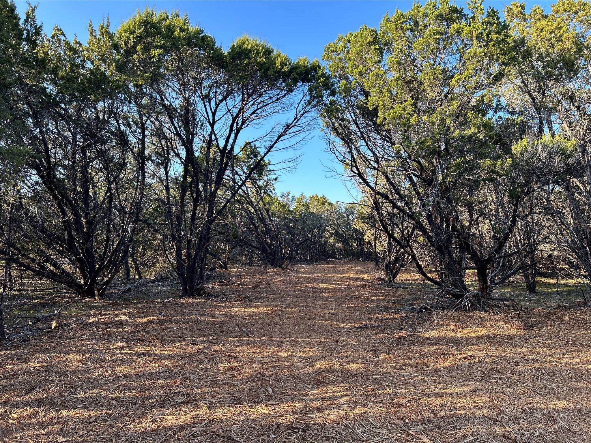 301 CR-282 LOT 1 Rd, Liberty Hill, TX 78642