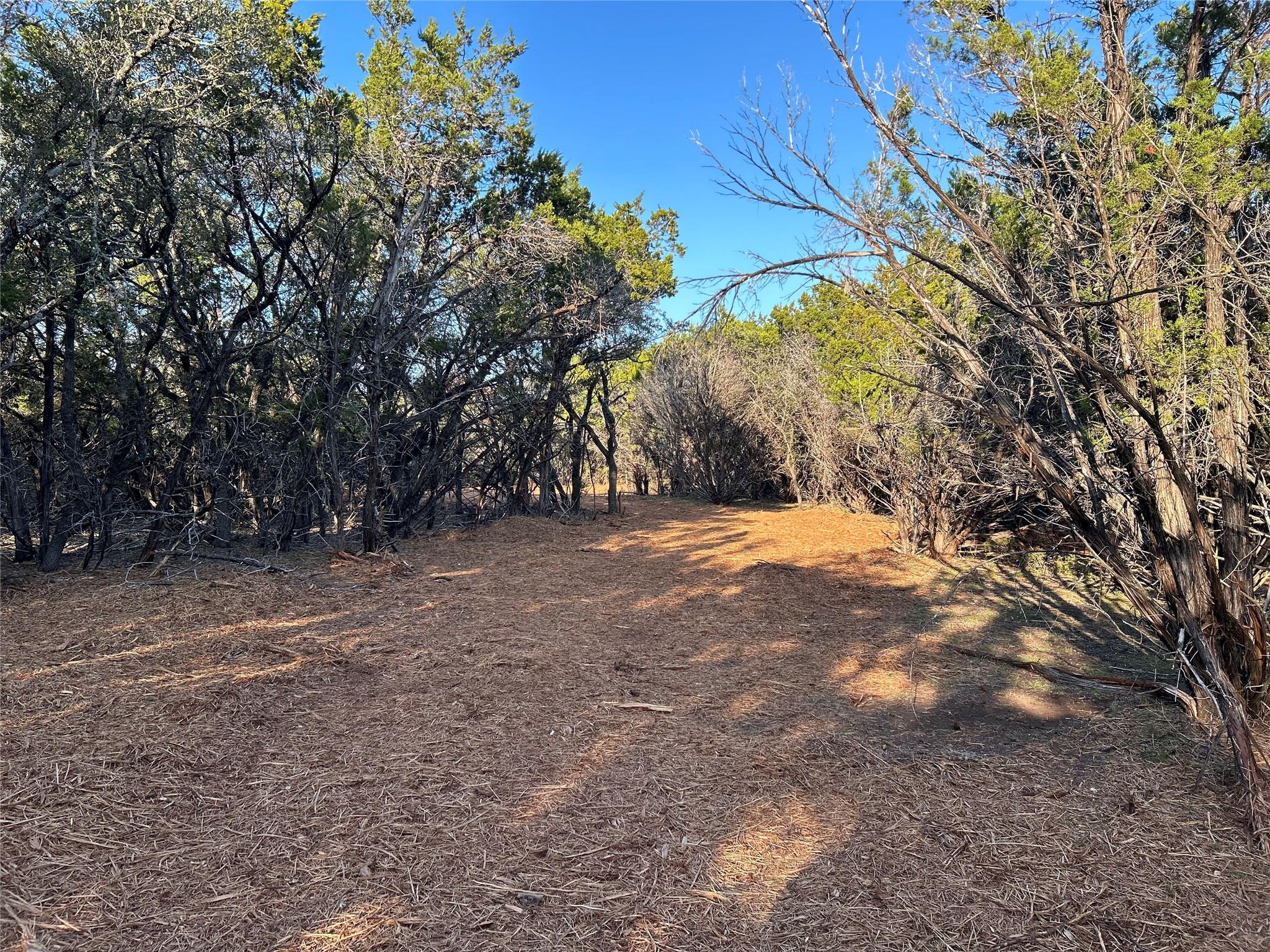 301 CR-282 LOT 1 Rd, Liberty Hill, TX 78642