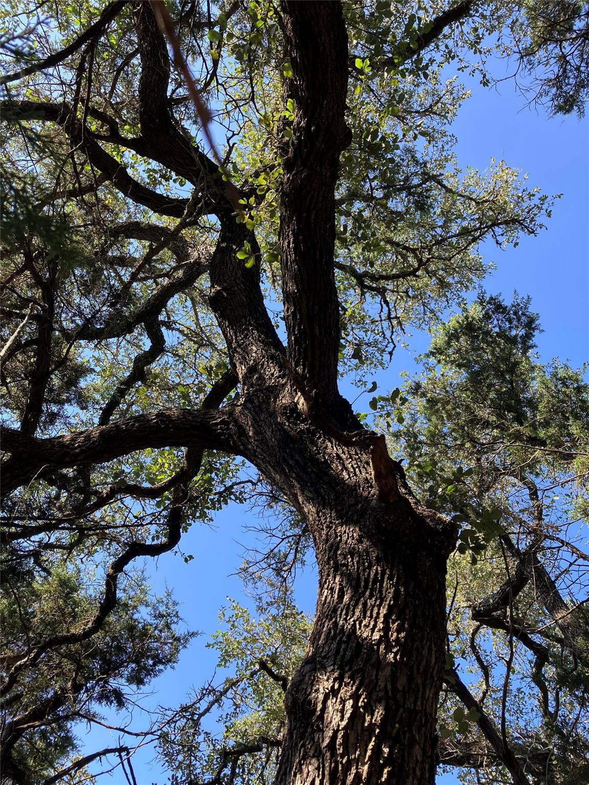 301 CR-282 LOT 1 Rd, Liberty Hill, TX 78642