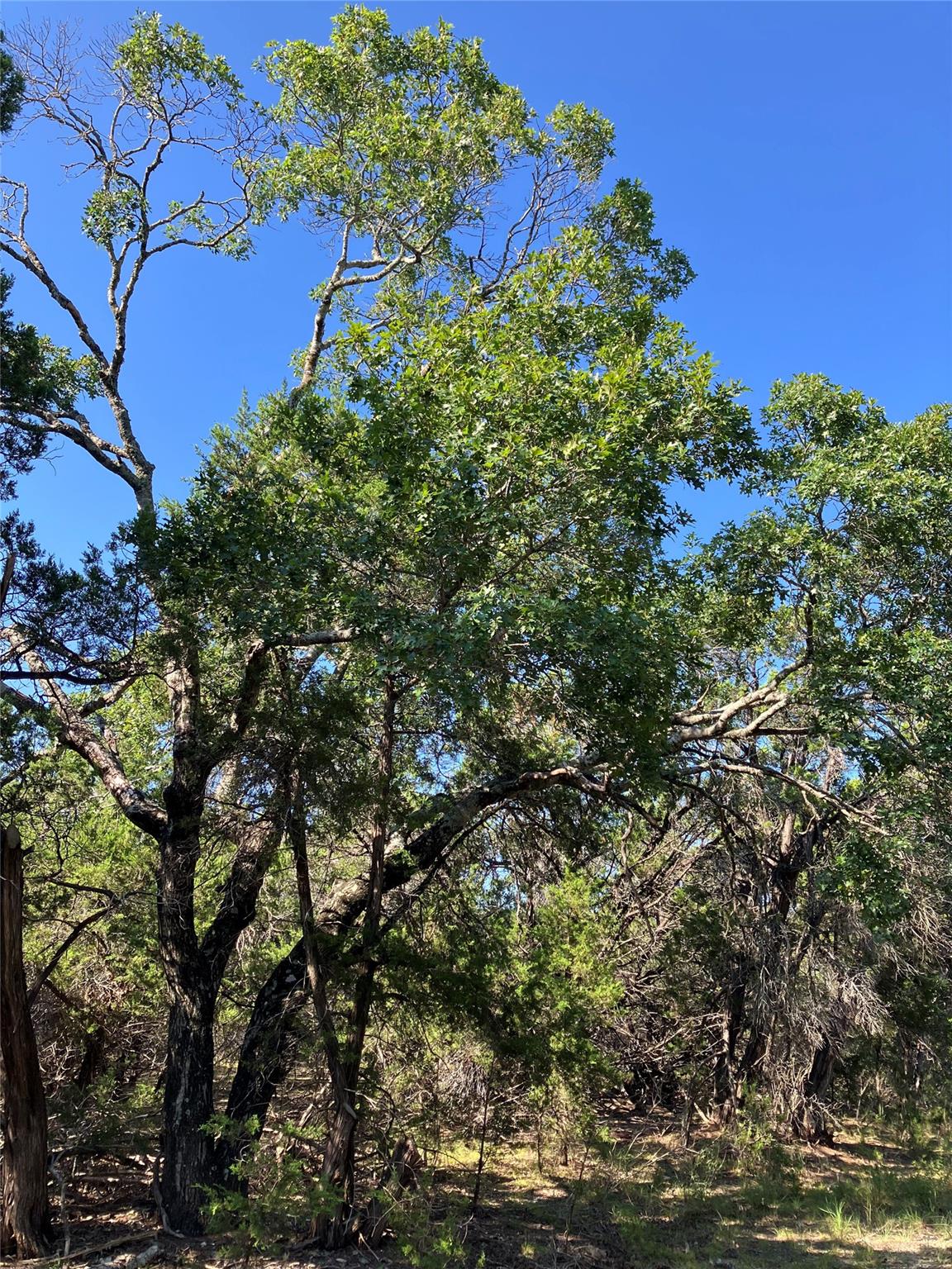 301 CR-282 LOT 1 Rd, Liberty Hill, TX 78642