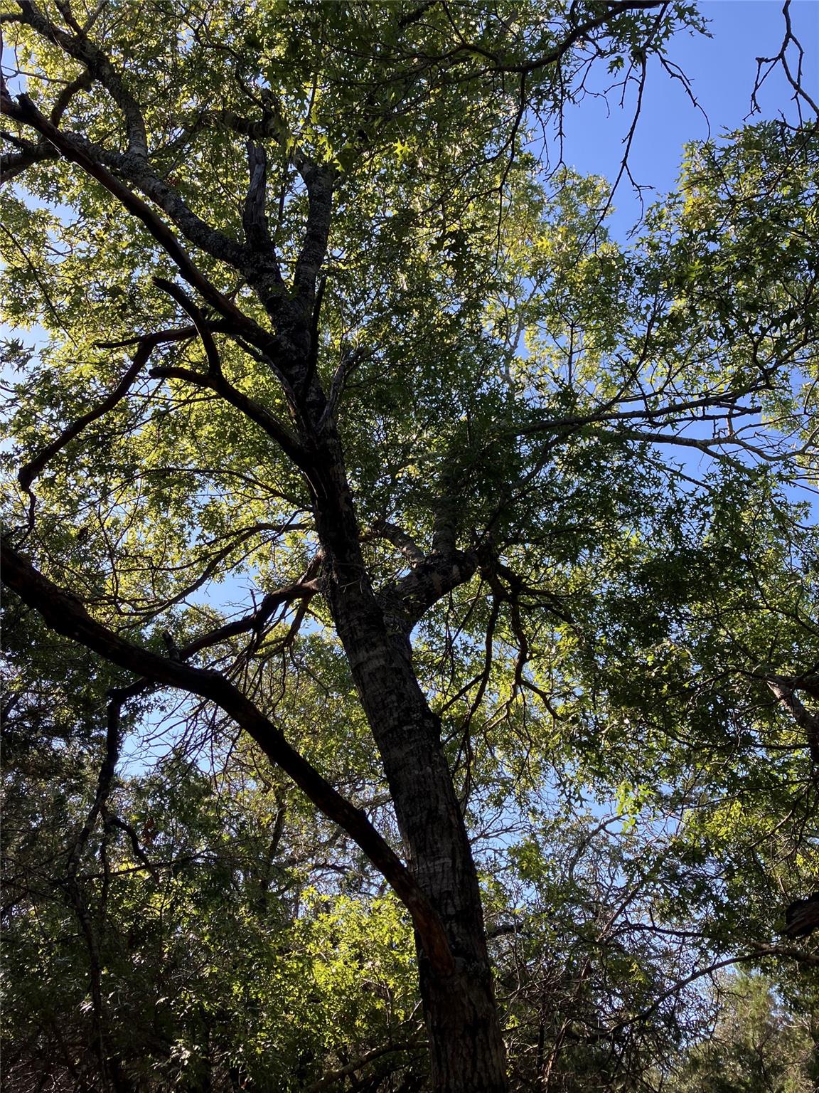 301 CR-282 LOT 1 Rd, Liberty Hill, TX 78642