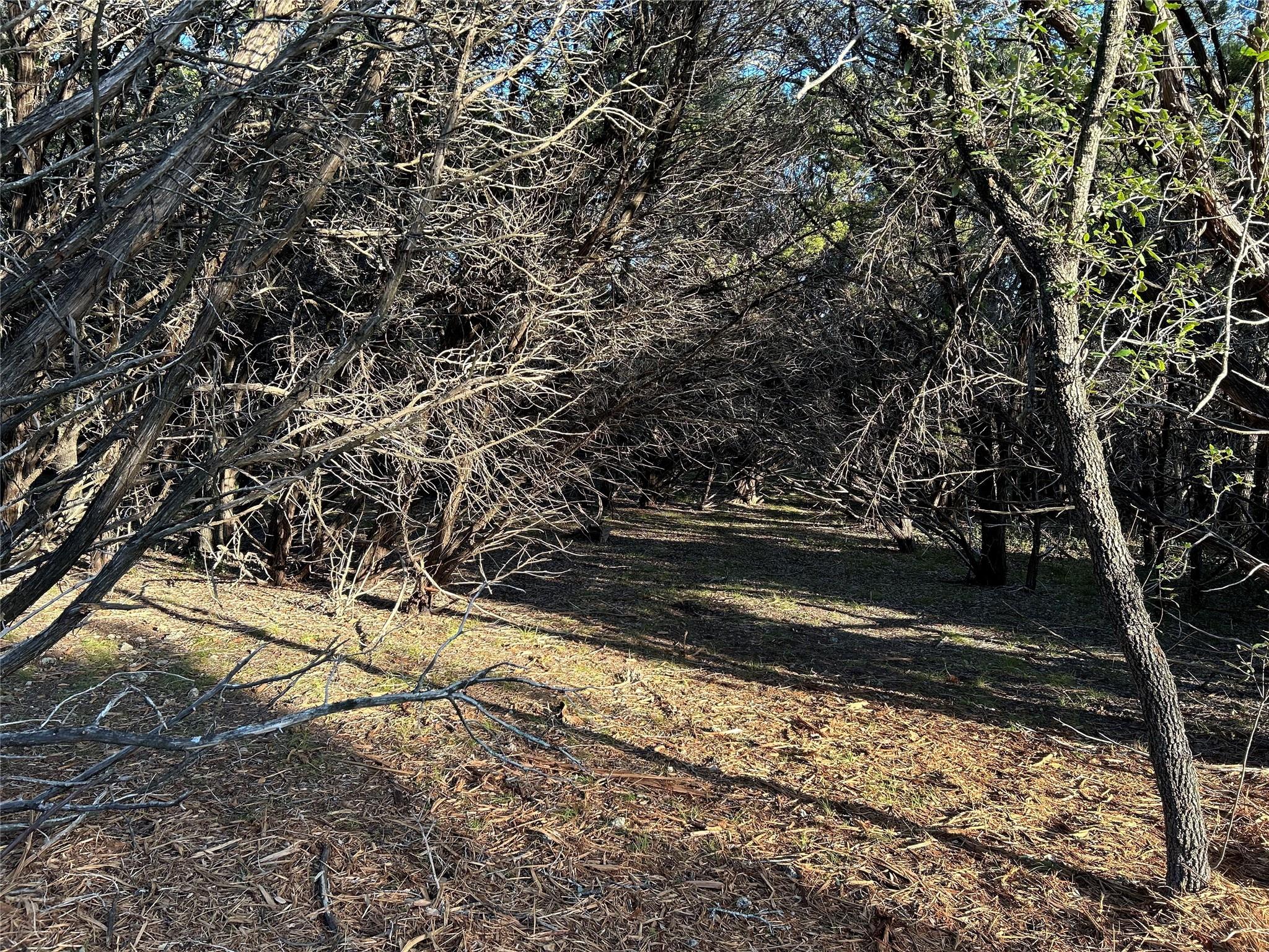 301 CR-282 LOT 1 Rd, Liberty Hill, TX 78642