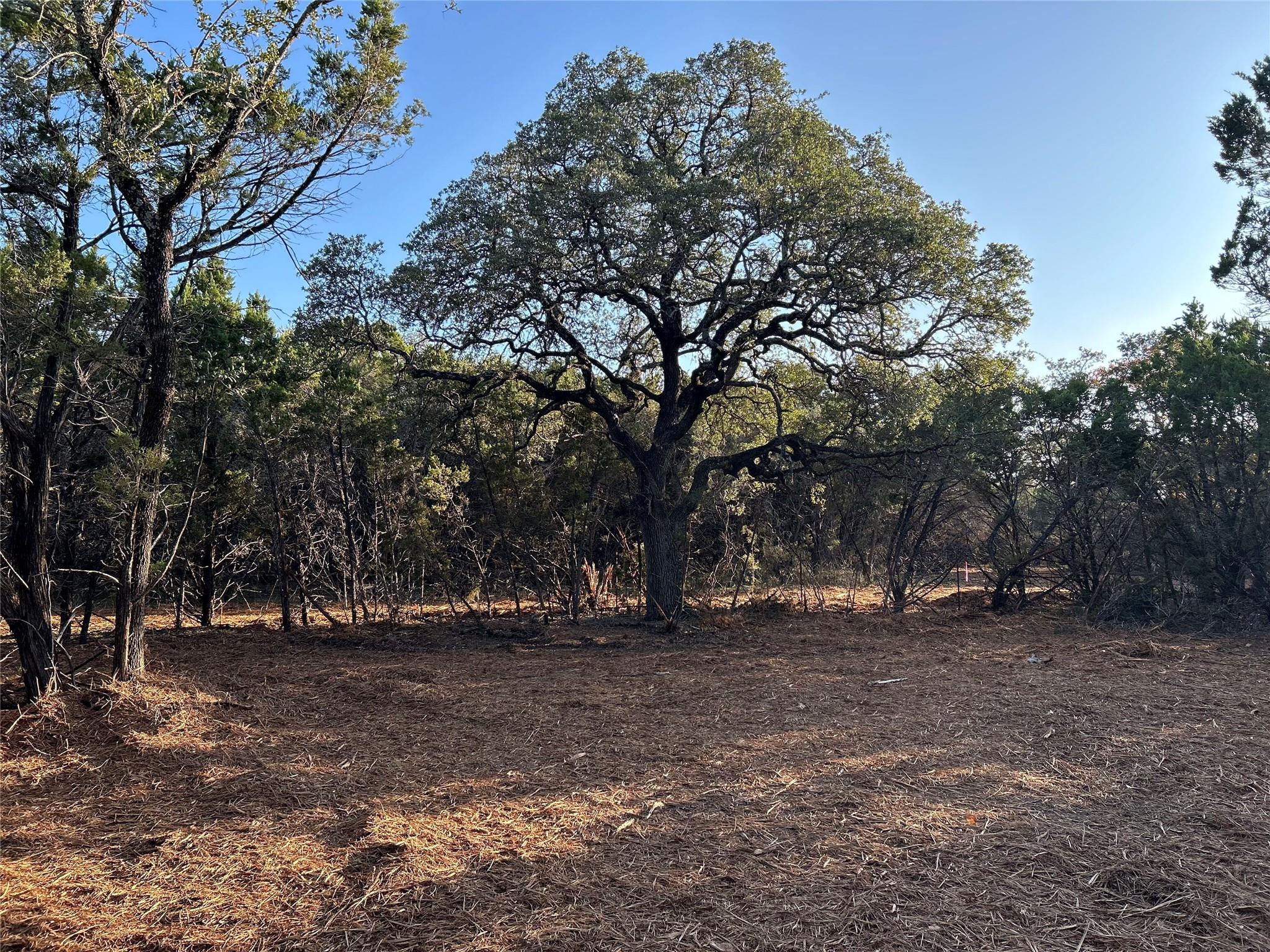 301 CR-282 LOT 1 Rd, Liberty Hill, TX 78642