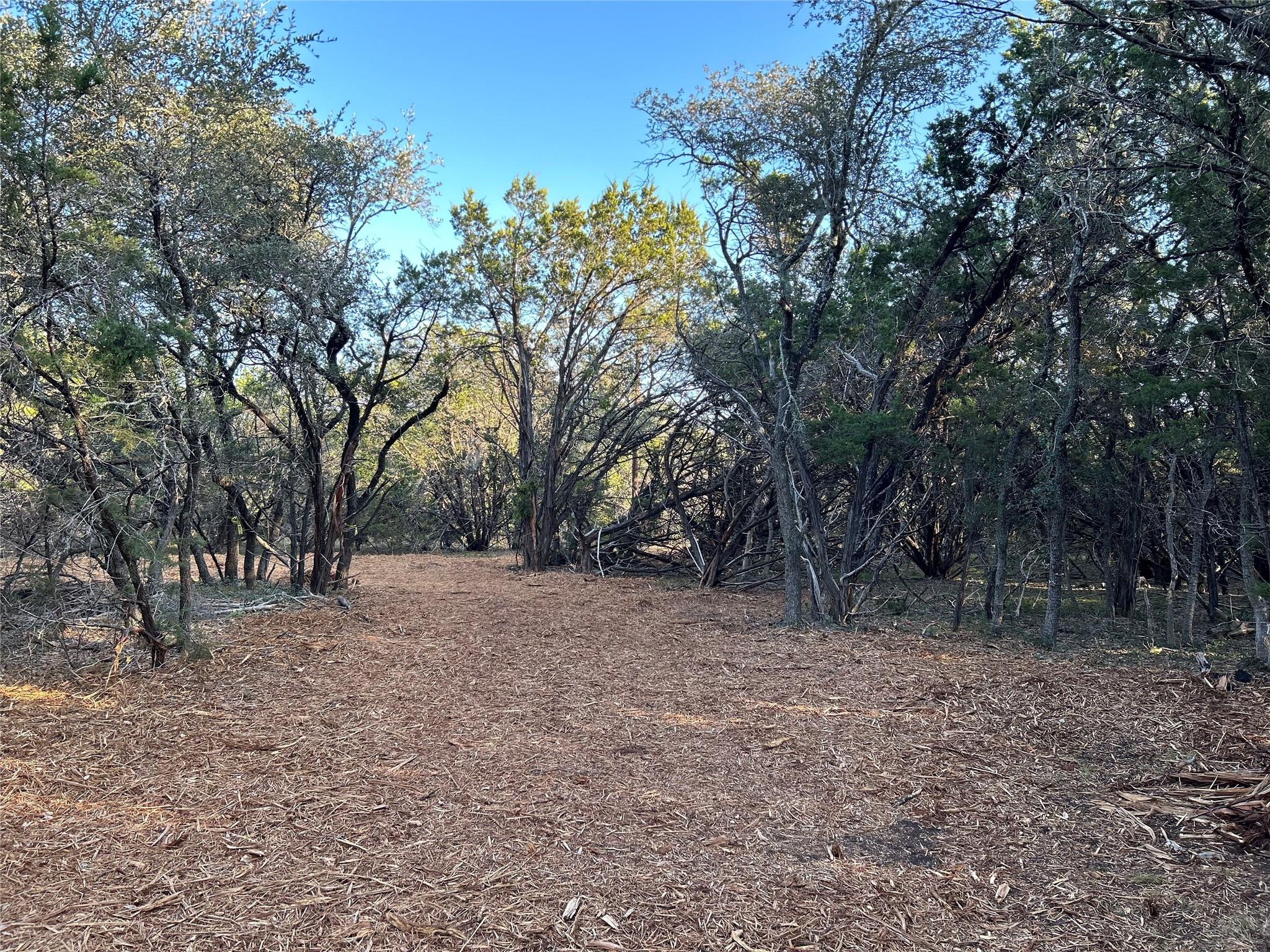 301 CR-282 LOT 1 Rd, Liberty Hill, TX 78642