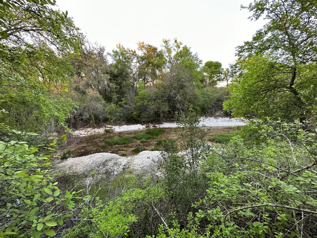 TBD Lot 2 Fm 1105, Georgetown, TX 78626