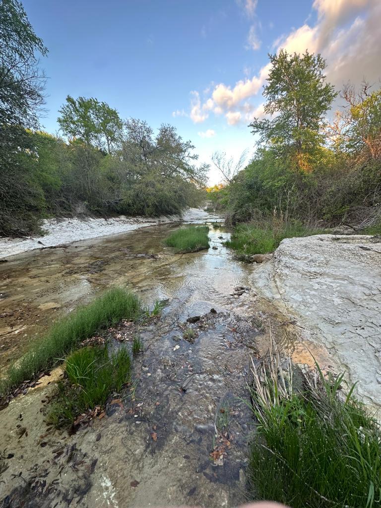 TBD Lot 2 Fm 1105, Georgetown, TX 78626