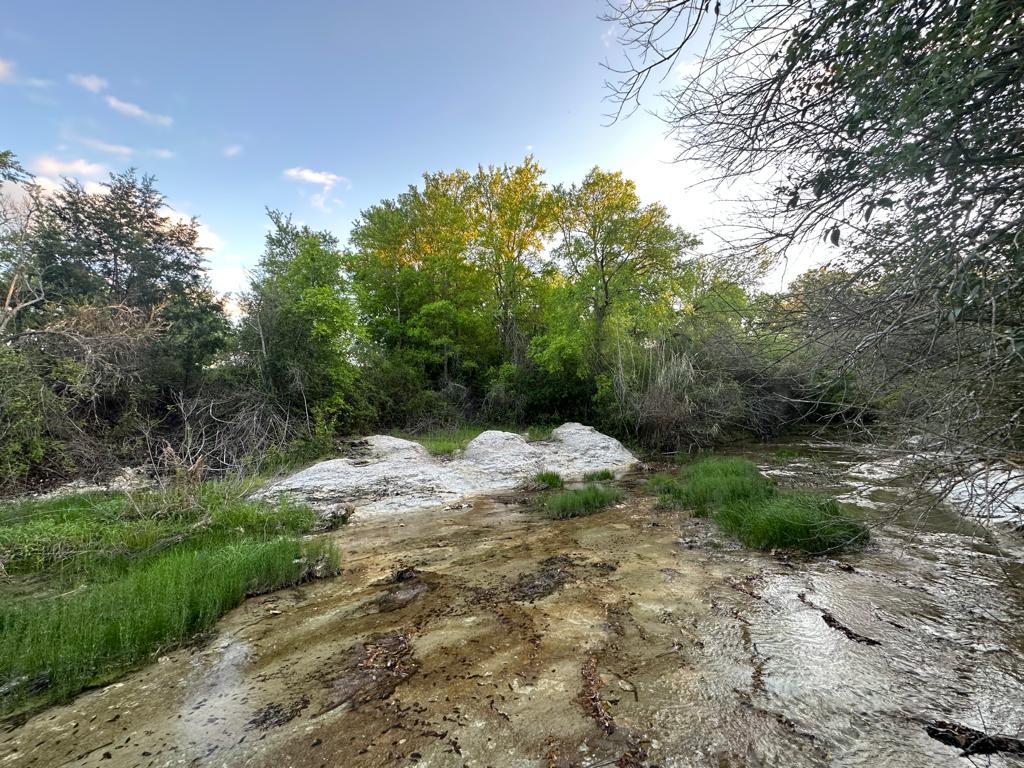 TBD Lot 2 Fm 1105, Georgetown, TX 78626