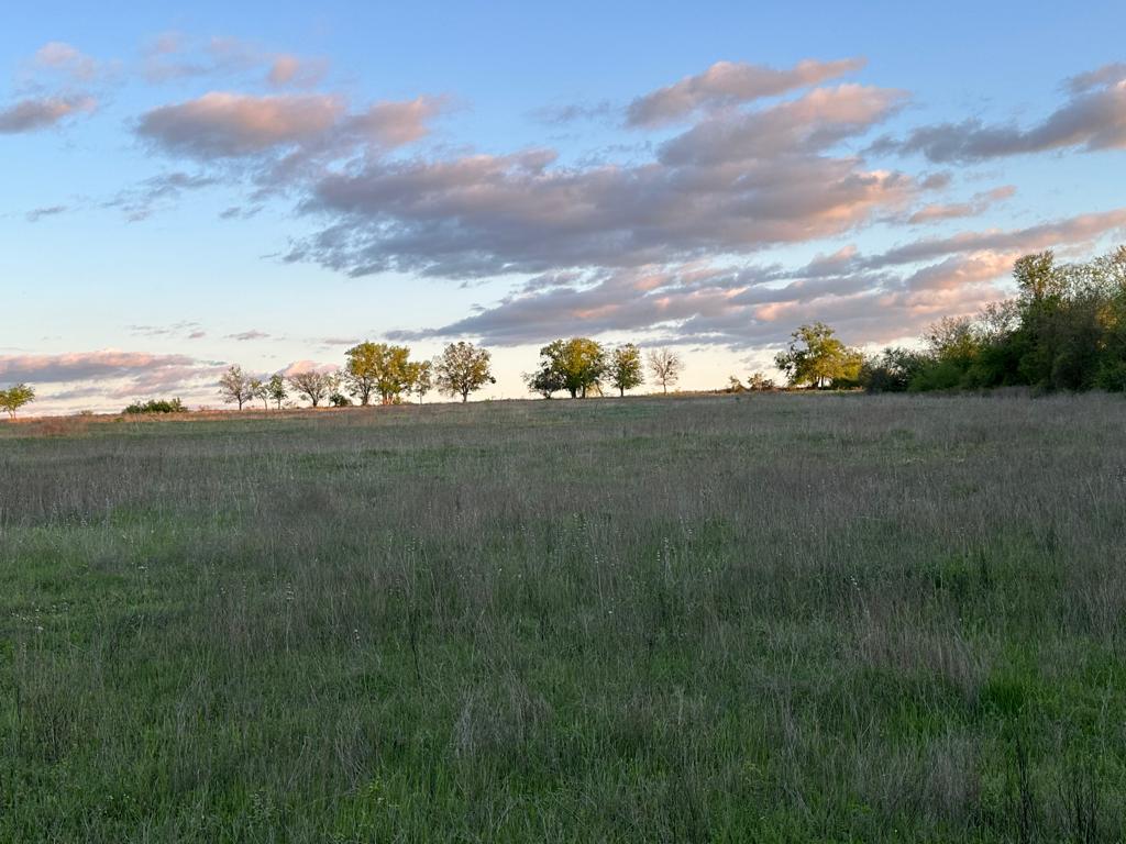 TBD Lot 2 Fm 1105, Georgetown, TX 78626