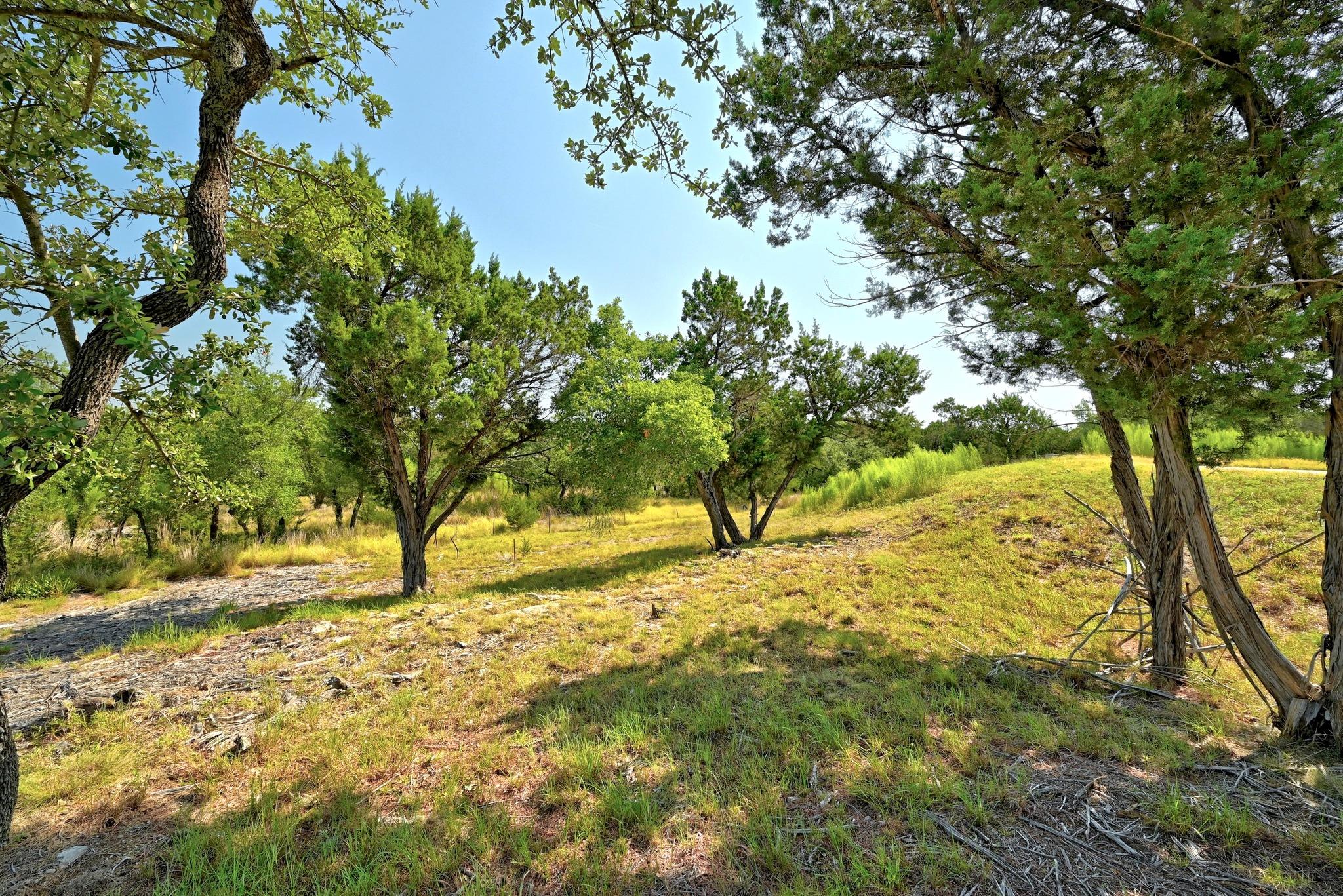 235 Campolina Ln, Driftwood, TX 78619