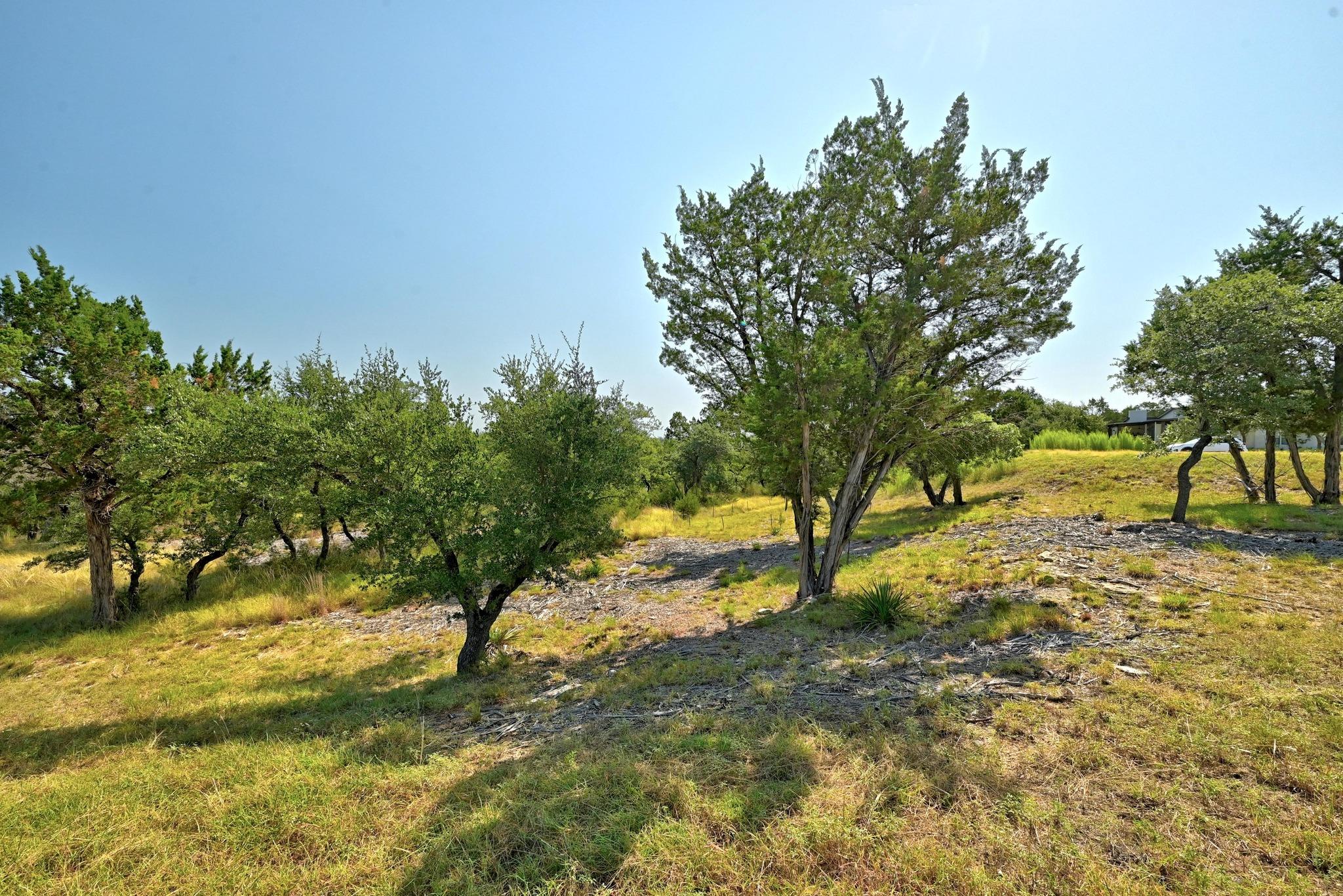 235 Campolina Ln, Driftwood, TX 78619