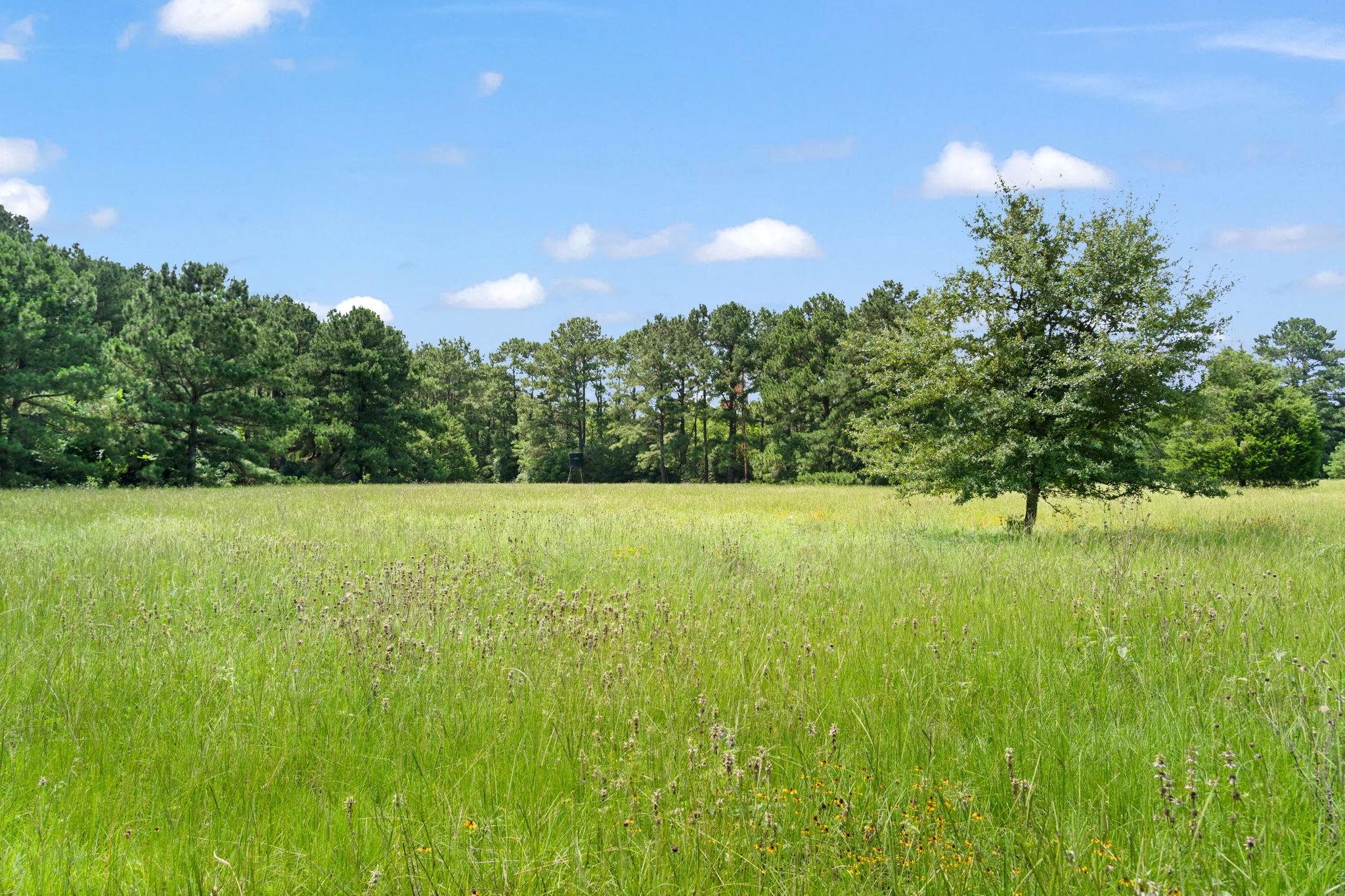 TBD Saint Delight (Tract 3) Rd, Paige, TX 78659