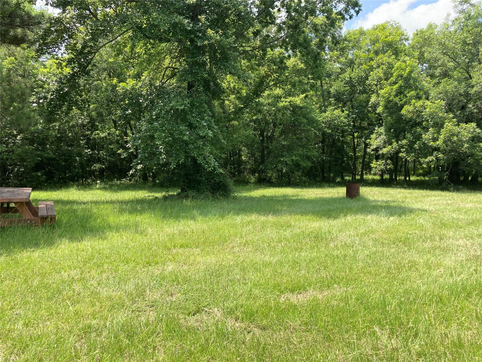 TBD County Road 4025, Lovelady, TX 75851