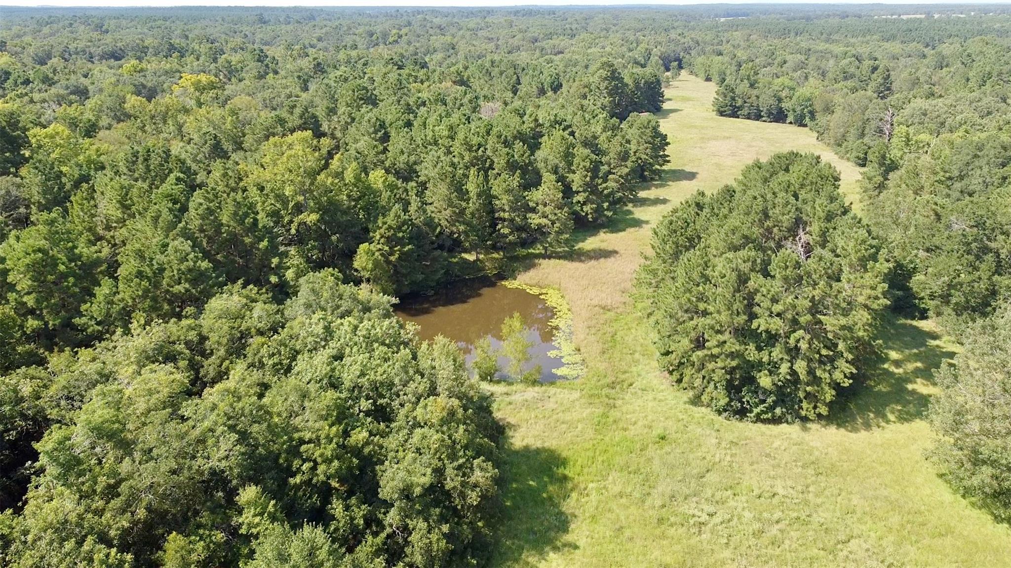 TBD County Road 4025, Lovelady, TX 75851